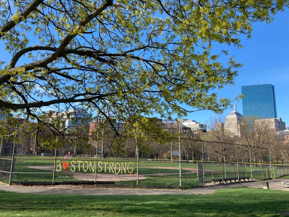 SE-a87c79a9-9300-4692-a4f3-fe7a4865990e.jpg?type=w966