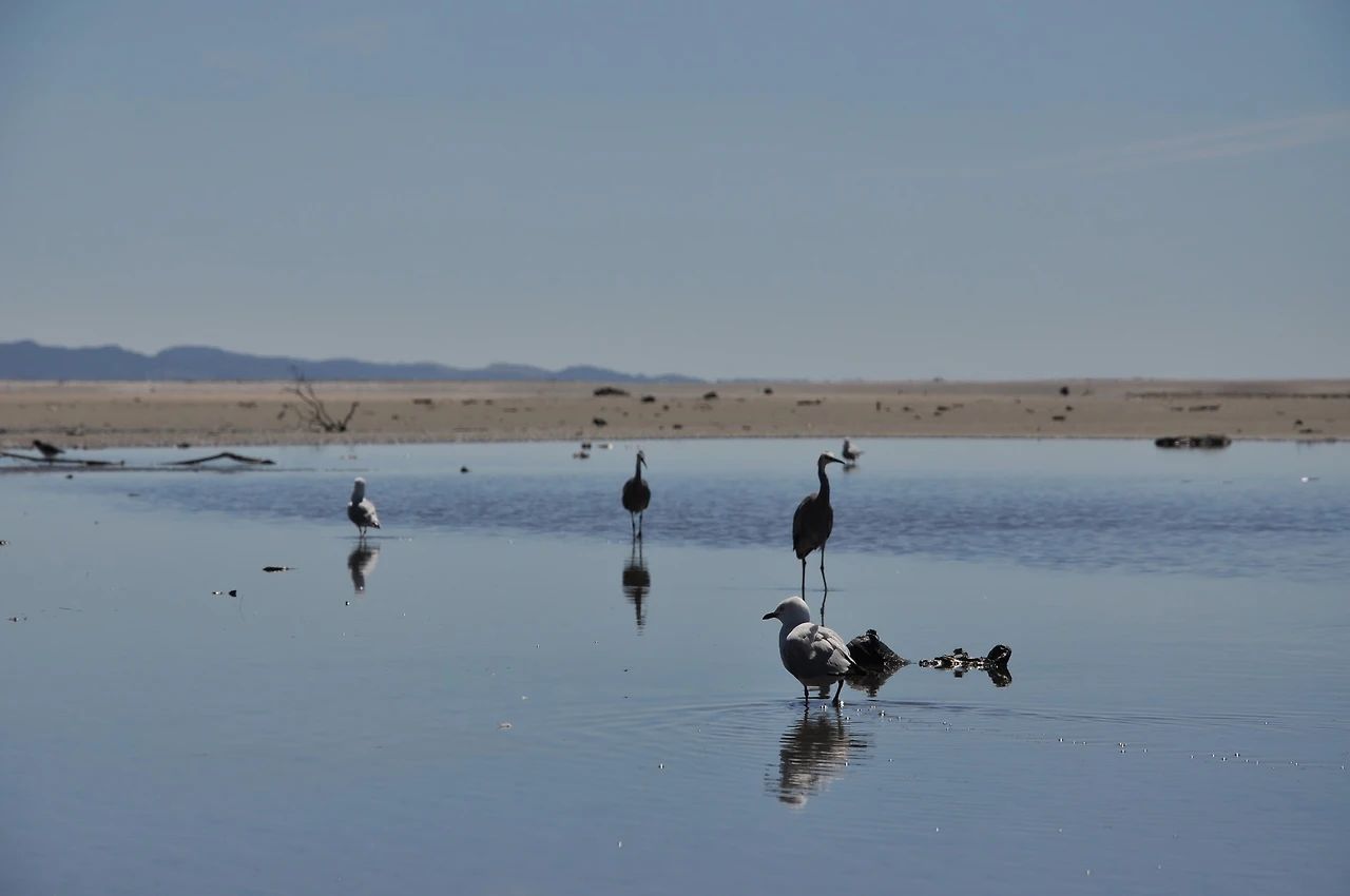 yaZju5ZD5f_RhOCaMvnpNuc9GW0_lDskkhuRCd6b9gQIF8JaJ02q_g-Ebh94-Ej8h3tX42sq64JgADLye0feOgFud5skZ6wkwsuHs7POxDakAoHrMmAY1daxu8XM7xLioUacsTqSJ8YYe3sbDlZXy9l822aZ8rlctbCcITeoBrnlWJcgh5OKWFQ9szO9NvzHtWMPyz1QE6PdpqLmrGy42sha3g8HT1cBIJO4OesetGMaQIyH_5PLEuv-SzJQB8SSOrX-wqlz54Ub9Jpc0xtgeSMCH2alUBRDIXrCDxJoKtzbK7WwKDGbGF6_k5et3xJ25Gds5FJVPwJWsafFJLfnsjF_8hHTV8AgV-9ZVTn0Dk229F5N6Q3xhvVWuvN4qoeMCdqPMZXgFMXXuS3_csahCO9bQZY0MJJ_K4fmHO070gcJwkPQlnIE8V4hhAqt4JtVBlkkClZx_mHwjCCJ14o9Sk05lm4yQ6wr2uBZYVqUWFpuMnzIqndaieVT_0QO7mhJXboUjYOii6Pwp9Mdjqy3bExCx7Cvfxblnxlc_WOqB-a_PuCs4XvNu0GmqVWK-376r0e_WIfg66XQh6NnYTMZu3mhcJ_LAGOIKn-tm4YFZZSqi4qLG8Y2T5CBcLZabl8hiSJ31xn3XEQeCHO78xZl4zNeL6EN9lDauBA42Sy16v7V2GpXQrKOfz2kK1bZUQ=w1892-h1258-no?authuser=0