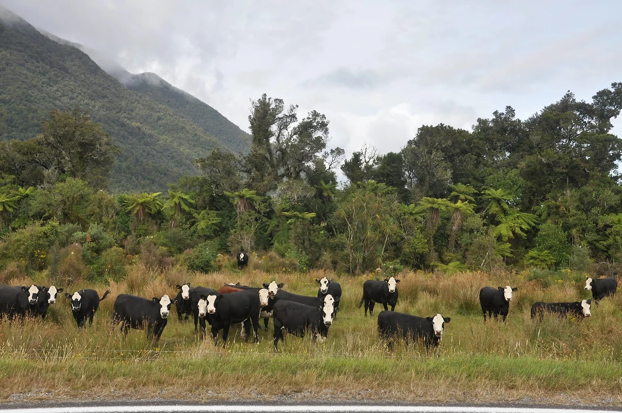 UI0Ocm06gAl2Fz47BmkQfPt8hnKzpNw7gjvLl75vj87IBXgMy3X5y4-qLX_PS0tfJydBQtAdJq6c7c7YSpiVo0xh-chpMJyvLG82k_4m_nZwUZGNM2ZL6f1dkc7YhMBUfy_NEe7SBAYlb8YGV7UHoCQ0SmqhwGn-QFfRISO-ow0SifoNfXtvn10AarA7AVRmkhSJX7_jVgxviW58Na_H9SFyg02ep6iOb3a4Yi8ng-Cy-tZqE9maJgml7PNx7jPntv4KFQWQOxM2tLXvIFrmM4--vkUeeGqV5q768cq5qhGZwfBbo7M1Pi4jjn60v-lGBm1ahygGKwmZsRfaAIgeloiOkQfFi7Tb9g8lds9WkXMunN_7k-D_HMIZ36EP9E2XinvNmHha01x_CssOj1GhCNc5-2gwyH5L__IL_SBXa2xHnrRfl3x6ui0Aw18QUARGVjWJXSWkeZFQsrpD8dd57Vd5YDxovb-hXQ15-1_wDtTL2EDIjhIRy2Y79BOkLqEhQhnE4D8x8oI12CSnTllgYnWybxuJJudvOM9oRCSI2lziKrWBU3GgRMgJFgbC9t2OYLVh072LDKiOItbYYygbsMdmsYobHypMeNAMGcaE-nabne0JBClytDFUK6LCquZzvAU4dz21Mt8lhRv1TAyO0-CO87Qd1ECy4pAzUwSVad_LbbbZyTvFY-t3OKgmc4y7U9wYdcjJF8YiBoFn7bOGfsr-hSuCeYkIAunoBCTcDE1056_TwgaHys4JMPzET7lA8yqbr2Ha3eOrm76kvswTbMoPSeW5nDxwBbHPbtchG_KW1avZNMp8RF08wKGo3unxfHM=w2048-h1361-no?authuser=0