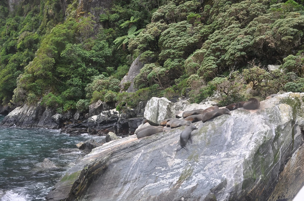 AL9nZEXIWnROvbto7M3ASn0ehoAemAQigK7TAkXG89gkt4meZlfze-H7tzGH-Xfs7Ouxg1afL1u3RzCsWxOcUzvOMFA4J9wax__tdjBrQsR0j37tXJPOzWIYVQ6zQxwww53K2QpeAItKgfbA8FJcpGOWLS1_ciClh_GIweI4rxjrOJA81sJjGtUOM42tbfII_MJPTcJTnNIxlAZhOEnx0UqbzjeG4YxDSIylMbymuorgSpf4aqsUmzyCBqMk_OTYk6Qp5nhWPEJtYx9Fw7H1AssMQvEAGiDsj44gfjHn0dDsYHj-4POW9Q9-xEHA-oY3R1SZ5y_as01qq7554bisgx1oPcop4st6hFmDSXoxrF3NuNPc610S8ERnhhdrrY332z6bHIuNm-mQ8gSNPhIqw1CrFTUqaIMtj5oM12kzCeWUku1jAR79hMzWNofWwrU_KWyilUUmeMZsSH0zxJ4jR3hSloHS2n2QPlOC9CtyMy8VA5Mr56eHc64BXKxTjDAy70ITRs5JC22Ns2M-PF5x1U13NBLMyVALdqGlTmEpKxiNums4VCdtFwc4NvS3RaAFHYYQUdwECvqc3hW4f0vu_QZSmxiODGMk8Wci5wIwjKHIpLIJx9oEE7zBl5VGJUZOgVbJbjbtxfst0lRmP1sjcWDZgmDbUi0NhL37FKzedyphHzG8-5GI_6_XdDF_RJPDAxZgNi3UbWv8ye7ZEVuTtX8QbwT7GEdPg6ZdEDDkpH_wFFNj_JGiIkz-rNdVVydRSjnI6ncFqiLUFUIdvsqOutUT1L7E-d6YcCEMfsRg_z1EJ-0BaDBRPNvVqh6o6UmnKsZkc2fb5vdpz8FtrW8fBFhq-X9wgYyixQ=w2292-h1524-no?authuser=0&amp;authuser=0