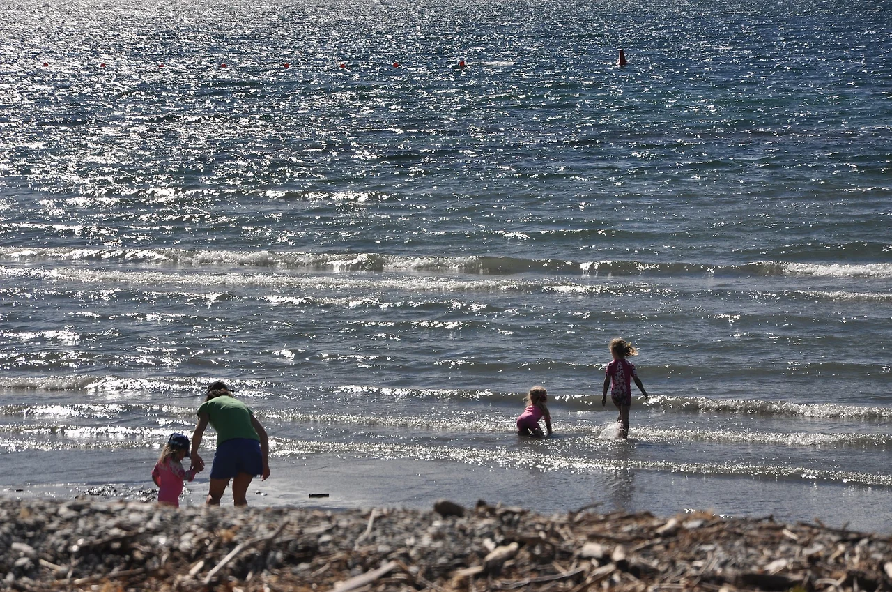 YCsq2veVnOf4z-G3zHh3Nv_ghwzR6qamuH05uivg3uGF8o_YD0CTX-8l2fYbLH4zMPHyt_CjNl2Rng59NPcH0cLiAaDBK9FWmPzx1UIzl58AzmwjaI0XD_TxlOFkAiNcbXt4gaG4Q5tOZtpHckWXFCh4pTSm9vap3jfeqgknnwaL2KGn5X4n1i0nWLX2OGyBZZ4-lZAa6X3tOl_W9wJqgDTXNWuhfM_wOJMw8IgsLXGkuy2bOZXmcDr1plcMPhtbzPfC_E2VpX-ZZ6Z8s16IR7oPpXogPgwX_waDTISQdrzTeibKStla6jSwTnL54uel1nF22zSAP0-p5AyIrqbunWBcxYW0NzltKjyjxmi1bTuZ7Se73XLG1qPBdoeZs8LZVGpi3rGaZyike9FodHQxxUa0Lmo-ZyoQG7W496whsPORNlOrredHdHsVkeP7IiqGnf5XsVz-wrAsKdwzBTc9LmgvVZSaT_DnNcF02kjKCZB14WnOzPhtQcXJKROd7d8tYLV8CBGuJvk4jtOWXUXC-gjQMHnZ7Q5frzW5thegVUcpc1vpbMxnEl0Jeq44rmeaKzNWrtPsAbKO_d1pan6A0sqri5QJF97jGMSzIa7WTUGchCGaR6LFjhh-e2C2CnEm6J-4JMXVFiYJZiEfQVSm4z9Q9tHZar048K-dT31iYzY_5x4wr_pdggOMM2X8Ij-i2QePL3ts95FMl_fLsfJqYaeKYkzC1jVLgeRxFZCwjFM5Y4u9g9b0ieuBzB09OnMk9bZRQfTcCLIzNwZzuywdAwT-jHpX6teXMd2NyJkAXHnkXnRiyMBRsawA99Bu3rYLIBZe=w2292-h1524-no?authuser=0