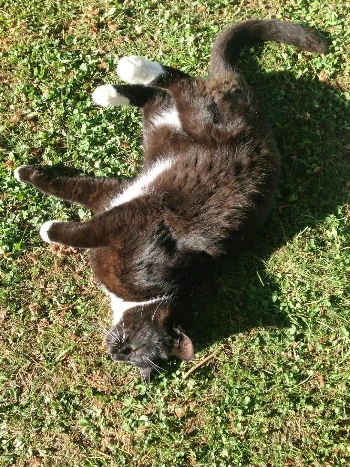 ABSRlIpVRRJ3QHyIe6VPjLH7F6Y4c8AdkUJY-4qeqJt4ik6igzM_a1tZ0gWvhmeS3tb1p7Umbxe0uvsaY3p2EYAeSw3fyhzFjSLYPfhhnaEudNsE4V3NlRvD2wu5LWQYfyEH-1gm_5Bh8Wh9lqtYbork-8Xa_btEkYJQ2GLj7id74o0D4vm0Oemy8mUteznEmtBfwZS1DfUaslv8g0M4NER72brcHt0TqJyH31hcdgJ2dTYAB3giBBbcIS6rc4Dw440v4b_w1lg7_plCvY8_oKDPGT3LS7fK9dd6JRruLG4BAFww0QF4cL668L4uHLWlvxRL8XP8IuON_AAOSGnuWUXBhFs4ahkLgzjMNX6WJtbKrEYANq0nRGCBAh8rm7tQiy77q-8onw2nAz4cNwekKmywk2lDPOsmhe4M6mAli25chJynZ46A2ziX-tL4wg8w5qKSpnD6sIS2XUErm5fNuw_F6YhNZLf_KmuW3YbV4-mvp9Mwm5CY4-Jjh7Xe25iOctRT74uqIn36vHVyubiyvRyVbVDvsBTIRlkSOnOPY1RVK7uQ8H2QOJ0U3n7-VknABdmtulU37v5L3imP8ojsWIUK5lWRkgJghDUMPiLNk4bbLSd0o7-7xayM1gK3KYU79JG3tPP7U0roWsc7eKqXGGNEBNSoQEo-ZXbozAGp3T2U9AGpSkQKKJSfTvY6dcDVlFuSJ9kiW9fHxoeWX-d5jRk7k3PLmn7kuOXy0tk3=s1446-w1084-h1446-no?authuser=0