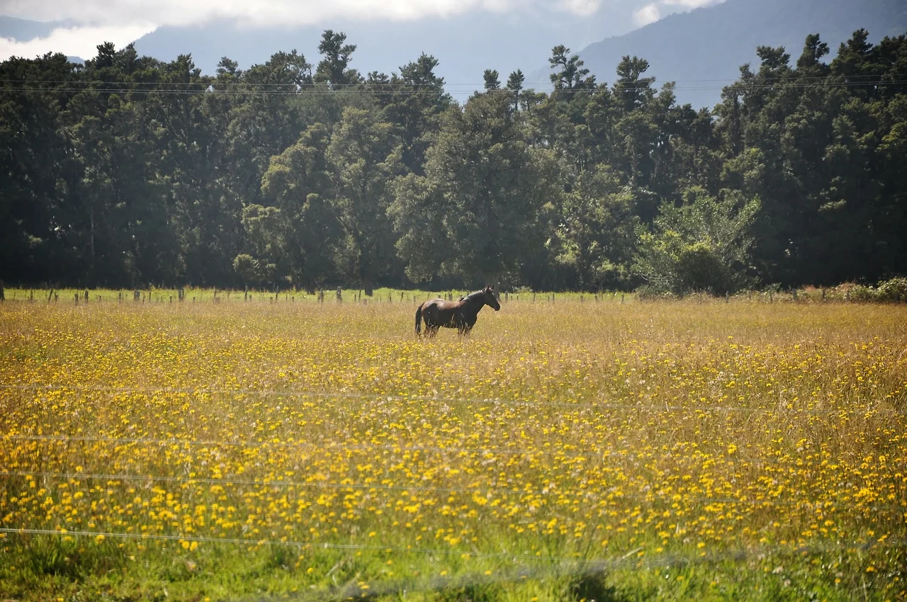 VH73hbv0VFhO7vZ_yo0wluGmY5GlfQ-uL4RpZIo6-GQDnck6xo23iK4oULpq09Sfc61tc3WXJuc2jWB8FPXuOsER2b--HbvXI4pQHY_h0kISU4ol2LBIqO8K_rB6U68tJOaptFjTsY2DtUQ7rdyitv24kWn6viiWdUqP6CVa-GO8HU7N0Pak66NO1OqQQOgBJDMxxW-DoT36rH6N9bSw1ROP_s4zjTIwN3tf79HDd5TwMNUYdaL7fS48UGF8pAfq_cs7UQRo0TZpfPtqNR3UNkxyhkngQ3mkFA0rvZHu7IZex_dTnF-6Wcd018CzOKPkWm3gZXbVUluzEsht5KVZO3OEWBqZUSLAoKzzay0ALpr1LZw5M8DH6QsJKmCFVFnFPwoJ6SI79gQcBOkteby4HjfoQErAUsaCYLQIvNxFXirb-aHzu1uQvu_mfvb1-fpVFMTYqcVCkTCp57ihbY0y7qm01zrjrRGaWJ5epcoaLXqjyaBJre9bHDWbxV56FMqs42_hypDS10AWHB1dVWt1Red44e4Oop3TPJgdPtushb3v0L4X0VdKznfz-x_lm4vQHpTZdQ9B1A-8HBvlKIWfN-cP_ejulz96J10mqYdhdCqwIEfgfkYeyxJBhm0v5JWzAJ9dExbIE3aDbV8GaNOo7BhKJC8AUd54ya4y6XbVsPYfbZzROfrkBZJ0F8G7RMqinjXmx0aa75MM-KoH0nZMwyh7yNu1wgoQnzGXl5WOWv4ToGFuOZ-rstaDWI9IJhgZYkSy_MCjhXPFVo8IYw7bYWRhMYDbgFCp6dQJENnwaKVSukMmlqpk-0oSHlViRSrvz9s=w2048-h1361-no?authuser=0