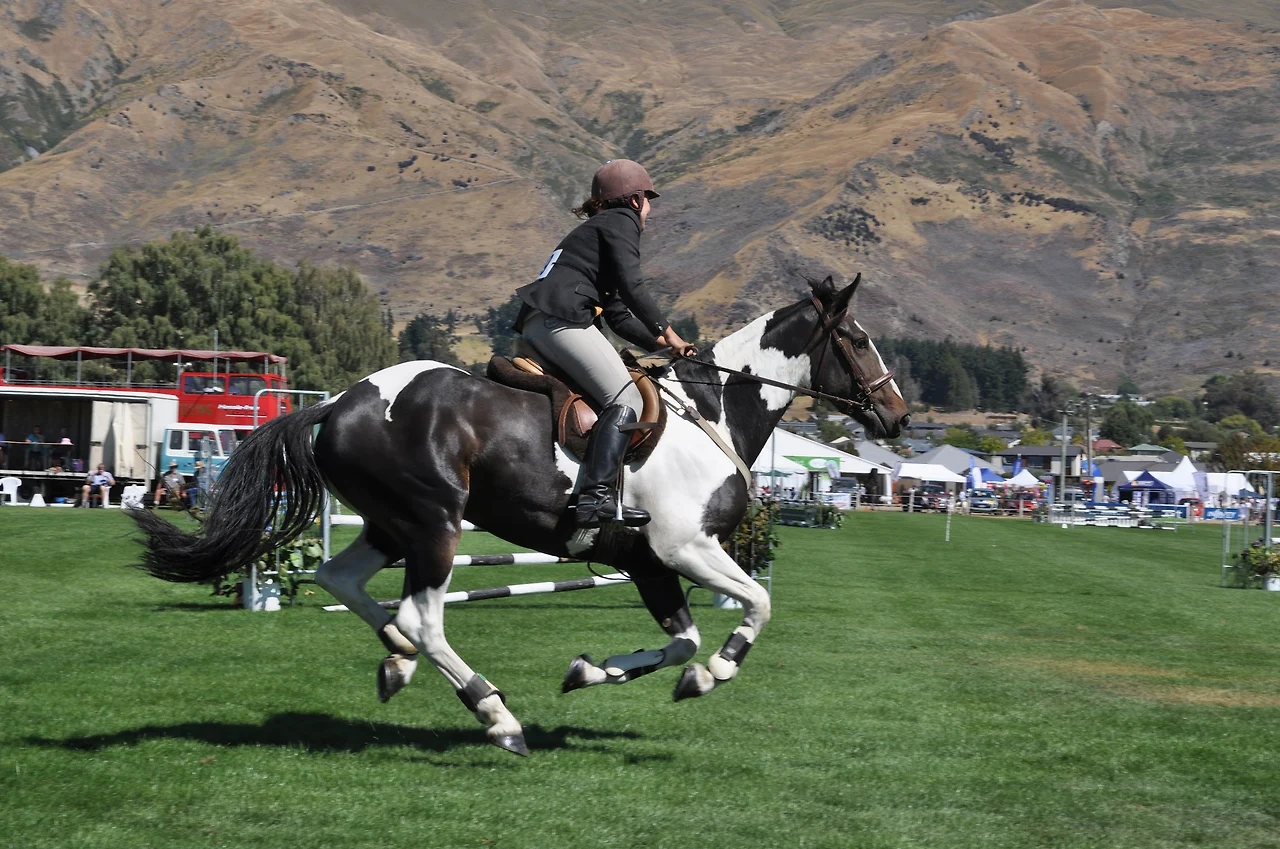 AL9nZEXdyJ-WDnHi2ypMV2yFxpHw2OreIWMjtz-rcV_NkE-alJ7VOsBGnuAZpo-NLSb2OD4d8jxRIFQRfgDoZUqDxOu42_28syFM-6XyJyDaEMKSnUISfIaL6EDx20Vq0PIAMPluRKCWYyHys89-cQ6iPVQLPRQOp3NvLxC6uGjTNY3TOuzPUJOrer3LSmG1s2nlfV1vbAJEtEWP_T-osdW40tolSe6d9BqqeypYnLU5lyZeH025bkDtDioT7Wu5zwvstIP9BjDJmsCe56dJ1QXLoc071RNOvyZ3Rv5WZJJ5qeiAtgaWUZQrWZ5mezh_kN9W002lbSPIRf8-JSBYZVKLVhgdQQB54X0AHAKK_u4d2eJo8TfBM5Peff7pLIptSNP5eeepXiBGlLInDN02w7u3nBgw4dX-MGyQHeWlzQNpsU2WgILQVp8wTvHiZC8VbWPXTOiMsawCJ8lA6pN9Rr39i1pLOE0ipP3V6BhCAsnYd1OsFphcYLyGCQjCcElkTPZSQzzeW_oyQRtaznLydKB_KDvOByoRpXEbup8MtLSrk26fkDKhJRjMrLiE7akBs-T5Jx4hYewvCnvABzROdW_oNMUncMhdNuYE0Vgb2ZfyB7twVo3L7yxhXngh0zOgxA6GA2vBX37OXqfWc14oGEohrpryFjsxNApFA0e6pKZFvxvTgRD05mstAt1aXKD30b2DJGkU6dDbRlIENY6Pxq1UfL0h5spAI-OeQV3cOHX0ZMXRpNAoFVmGq3mfeRwhx9-S6Pd-wcjOOuv3-dN0V674PZ-ZfBLLr3gSR6H0G0QqR19Vb-AeBode7g-0UQJDDlqYzLCRRXSDCO0XX1xGY6of283ggwgUzA=w2292-h1524-no?authuser=0&amp;authuser=0