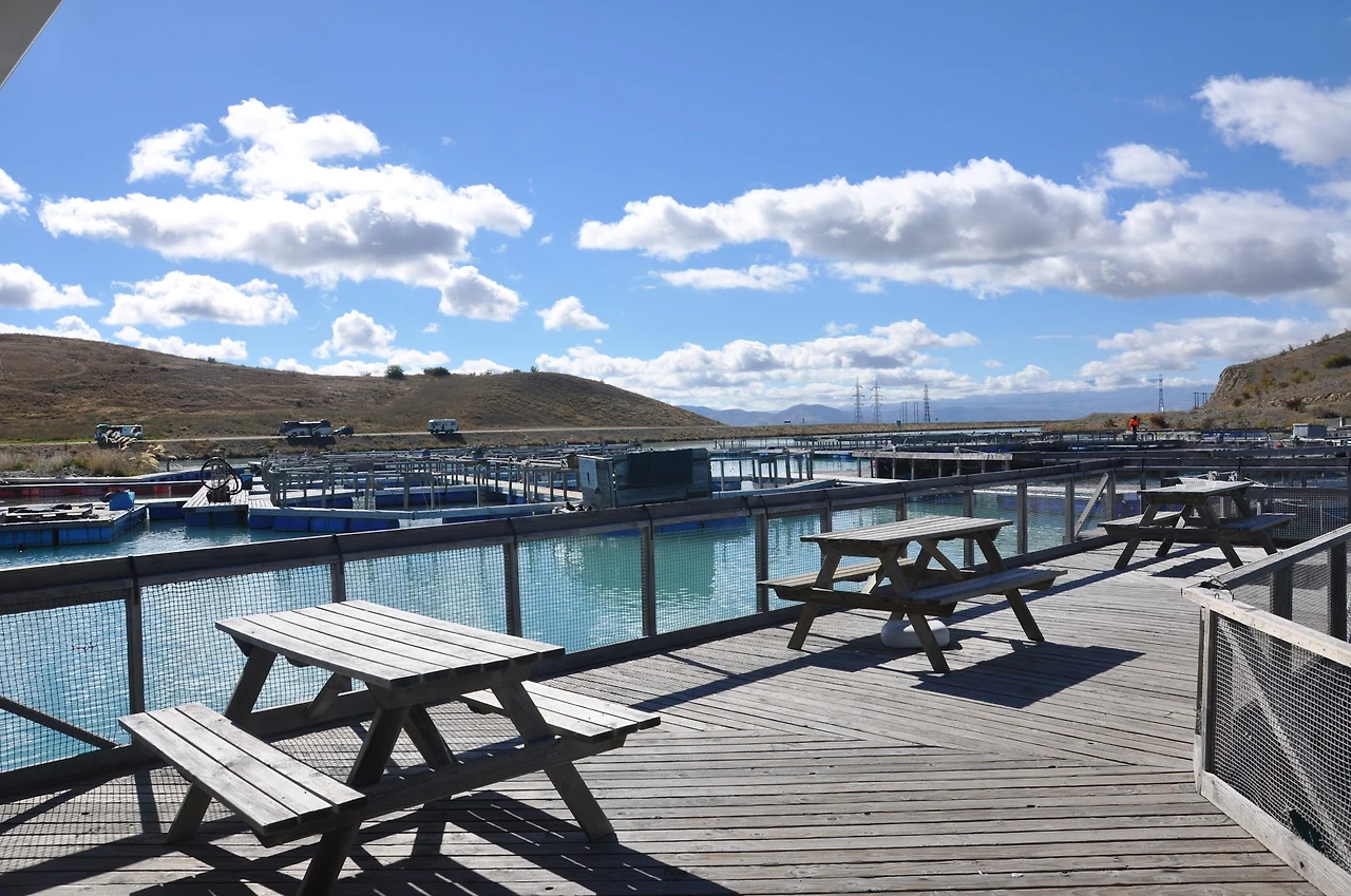 EqGLnHZBUjrH_xgQS144Dmyfqaz6reGS2o9w4OZ8EWPdKkdLvC6RlwpR1EScmrAhmW-XwVJZojEr7RFy_W3ea63ygNJZVX6AQbtlN_kVGCeJAZ4hijmpTOoj_BZpj4VXxS9dV98OOm1i_Z3YL965CiSfOOui0TOzqwJCNl8Zissvi_z5U669VqYZy7spY-_VecIOOwgkhiJDXZeKTuocZn8wJpfLQtukWYINf9snRm2RDnPLsLCX8IrmGBxtB05ANgBZ0lWk1CF3O8WUlvHrib4m4onR1WA7snFae6PemdalwcWLcUuLh9VBpugdpwqzvo0G6fIq2Gph4extUE2EgxR_rg1Dq4qp3Ouv9VenVZpxdbl0NFe4A0DXW68qi7D2ov3t_UrOMN1EORSi8ejqbHtdE3W4zlM63GW9ga2fdVdemQDjwwQrbJz-2uYMJ4ZVICKjfSr-9rrh-JyN6rAMaLebEG9-Qhf2VwxAGr08tqE3bPmQhm_H0B9bx2q130jOTdbZf2CwO-FkFNHmRTy_qT69WMf_ZYp4H518nlcoy1gPTtv9Qlrd_b9tz67cMQbMQlNVyzqcTO8fvKVJn_5Z4nxbbsefKuojErlzAkqqvihNUtuEuEQlbmm9dXxfGznhdcW-JzyH51M762M4nFCFLssB47Z-_ywHHojtnDQOmDqNoOtEPZGm9L_p4-FJ6ZSQyvWZXcXRojv6wNcHSo2RNVWkQzvmGdlwxgo-UixsMYCSU8islaKPST8Y0MdEpHevwIkjlK8I_hmEX-kq64ea0plZx1AO4fufmfEDnzAI8nGUPARTjeH9rPI44AKKSFa5UKNB=w2292-h1524-no?authuser=0