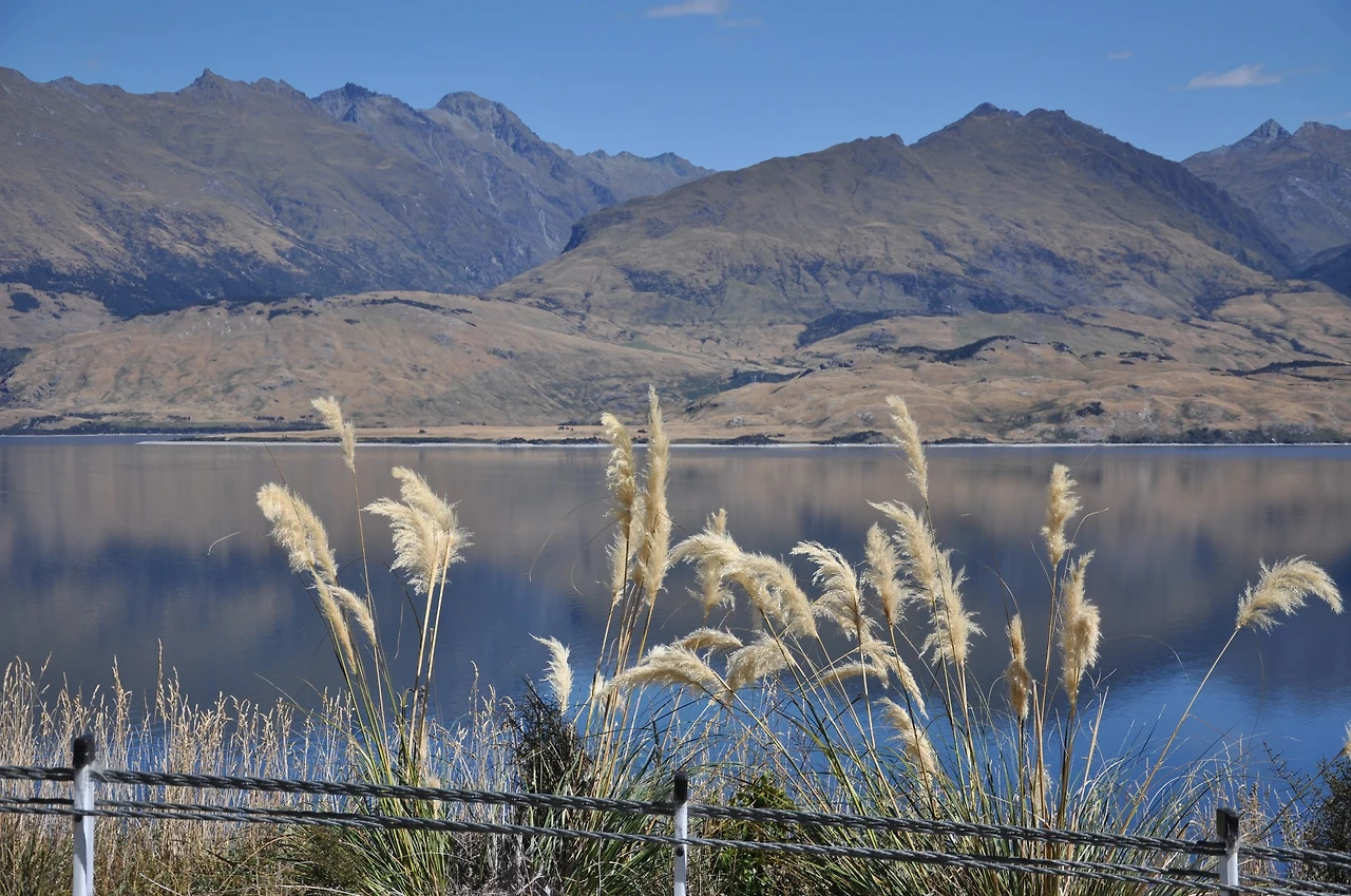 9RzFQkvOw6ErXnHYjp-sGMbi4Uhld3nYTAgpMwCSKRa_aMaCsHSZHK79ITFOMZLAwVNxw3j5EVfRngPyLaWYJ6GQfg2XLwZWjUimof9yMsdBxITKWgreyhhWSSYtOCoXW1zmBeQkCTrNLuodMdBl7NMRSzYosy3fG-E3hbhjA9ivSD_IlcsvVLjISlYeGBnOor6P-Dw2SqE_0EG6XdcJJN6KQjIwZxrMcLPEhr9NzbcPGgVHTOW1cPtJ203LZEsv-LdsXj5jv_gUfa9bxiAHv72L9HFMJ4LzbrsShGMofiYchGbMZKGedt5zkKDSyaiTR-Q4Ahsm83Rr78okZJBLIcnaLI_ywOUWzNLBWtu8RLuNUnQgcWJObMn4YVfjty5hxSAVzD3WW1Nv1XlWbDoRZXNeb3Bd3MgE_TklgnDBJfLoUdhrMrZ3nf7aXysqUXGdLRTGB3RnJmLqIYKLbk-ClLgmEeDVSQHc1ImSu_l97Behp-M8kcU7_08fUQ8yzOCyI37bdm1x8XiuoVUBx8no2PcDolLtgy-09TI4Wa_Lzxo4G51CikIcnNuiKcrhZjqUwBGK8SwX35Zy_OekTbXe5NkF6_880OTHSaq0oS6U1gV3yt1ygf8v7vJrCYXFQ9rsQ_jbVzCdxrSOEiLvL5Gk9vpJ7TeV3QOJ7fVNTJXCnEohAmZ5xVPrJN5RTkT8LCJk8IIyjNubVIZt_XGqSBulDPXoloKsP57s51MPgdElVFFm9YbXS8EOZRWd1K8wDq-Mz7ySvgfiMljv7Tkz042dxMiBKrJ5gkFp4OGE67EtmVRn8Pwh1sK2JhVEDGfWW1u10dX-=w2292-h1524-no?authuser=0