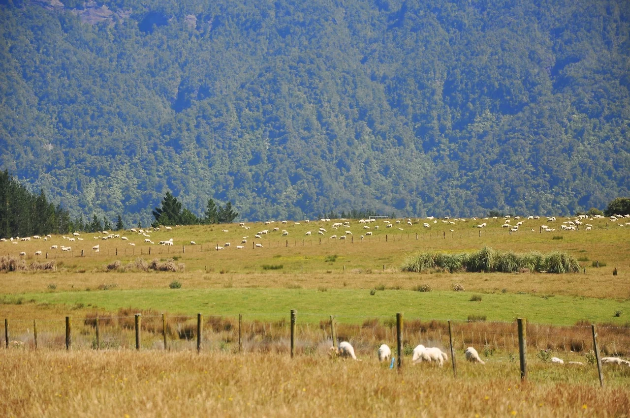 wZcLRLH2SjQ8rxYhk_vOSjRVguHd9ho4UV8IRO1mQ7KUqJU12RG87HpTkL1OyF0yrEd0YqXBTnYZVP94W7b4pgabuZQsyCHsM79sev987vkji7Iunvf7hserB2JL-S2dalYzkeGtbqKVyBWFh-X2vJNFw9bSWovQcrCyjxzGXpYZoENTV2-UJ6w-icSwmuqUwhOhzFNJ_GW_ZHylW5AnYF6KZ3phbzqWD7sRlbdELZKeVZ7NyLrohpcPkM2srOOC4GLPtpe5l_zfb7rm71FS_TfRAhqP7Sy2p3n9TrzYlvRpA7fkc79op0MQrW3nTcxjtMokCqQCXAl7tUFIHUIKEF9VWA9mIGFon33bXAOI77JRZF0wUZNXDwNZwlBT1EUMQu88j1I2eWb_TTze_K_k9q6LEeedU8uhUiuGHAi8AvSlnaCmN0Iv6KOhYaZlSzRsw9_GClyB-zS5hXj5N6VYkuAQAUWmPXRyVhJa3HjjEoWdWhDMHWCU2DW3QZZ5ODFLDdDfu5nSpBNWuXXTTp2Sos5TWHaTH--gZmP-xn8xW0vgjjeLAsqztu_rnAPHnrf1F4N_tZ62Bnf0awl7JbXLjXi3hSHqZl-tlIW-EiGyqigvCRNmsEWim_RTs8RKqB9lmxdh4GFw3dvP6mpEqy6pBxe-nj5hFsiAvLOnPwFfAC8V7htVlcloN-Pw-WzS=w1892-h1258-no?authuser=0