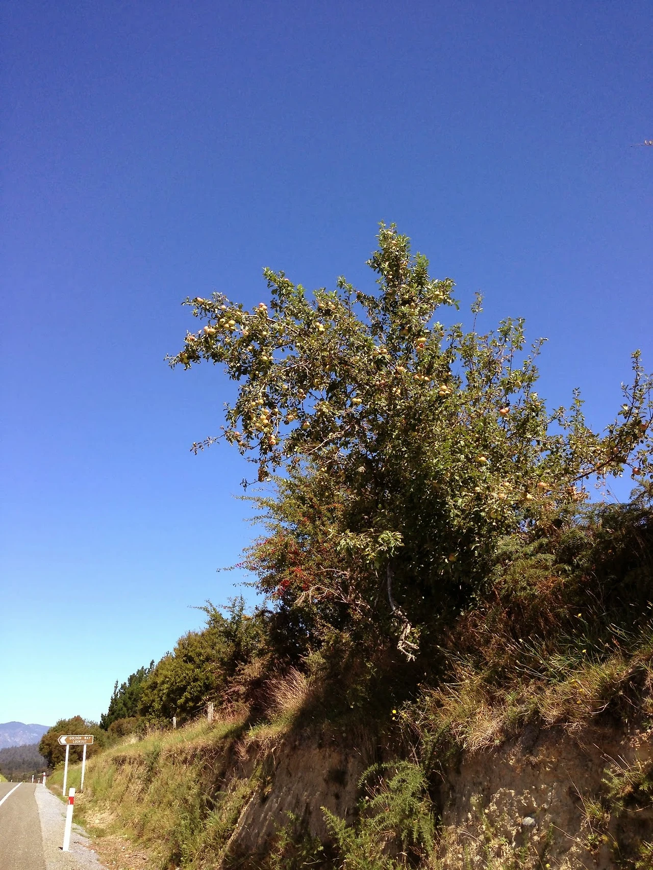 ABSRlIqT5oPi-A9N5HYeN7Wou45eYrSKqleLG6yTJPqtVKHyr4hKTi3nr0QbLlAdZaOzrLPmpCLcru0ASAqACJQDiotaBljXsocYqF5WpbeaSTgbupg2FOWW14N2Fmdl0LP2T7UqNYYlgVcIC8GhLpPo2Kd6LFDyGf9-CrGxEJ6DeIORPGP2PfKIikrYxhoq3PMZwXm7JNjrpDhkCCqwd0NyyQzJqy0fJiFvnERrtYdVCybgY73Prg8by8m_TXOuNH08KU43JT0KKDAejlA8Wdu-YKRemnk3KNE7PuY2tgaluc1WRjXVlkM1anIEMqfjd0FAnzJQQRAOBZ2WKnpm2slesyZm7i6-FOe5HctGbV51anMlmkP6fCTbeZqhvNlfG1rq3eEnB_euJiz9a6g7BRFK9udtFFJl38Fl07eoFKl1Ye9gwBCmibbMimBdxZWK1ui91-WoskDKEHPHSp_-PL9oyHjCENSI9uFL8pxa_L2_D0Q6xWFQ4ytWL-itNqHPr6b566F9JpVOqX9XGEsc2MWfb0ujyf3mkHFYO062hAAYZgTd2f7B9G2ra2lJPyPpXSJmzTtzGEIDzV7fVD_zaitVu4Zo26Ge1_xbMmAUgpXEPkqOxJWnUWZQoMASahEFj8PGDEFQ3sW0rR8L3NHMyjgexjlne9GODhm_zglikREBuLbKTEmwtpwoBmIRxjJ3xc-DT6_PtJP8pv6VM2cdxH7ZhdDcVkESlwTTm3wB=s1744-w1308-h1744-no?authuser=0