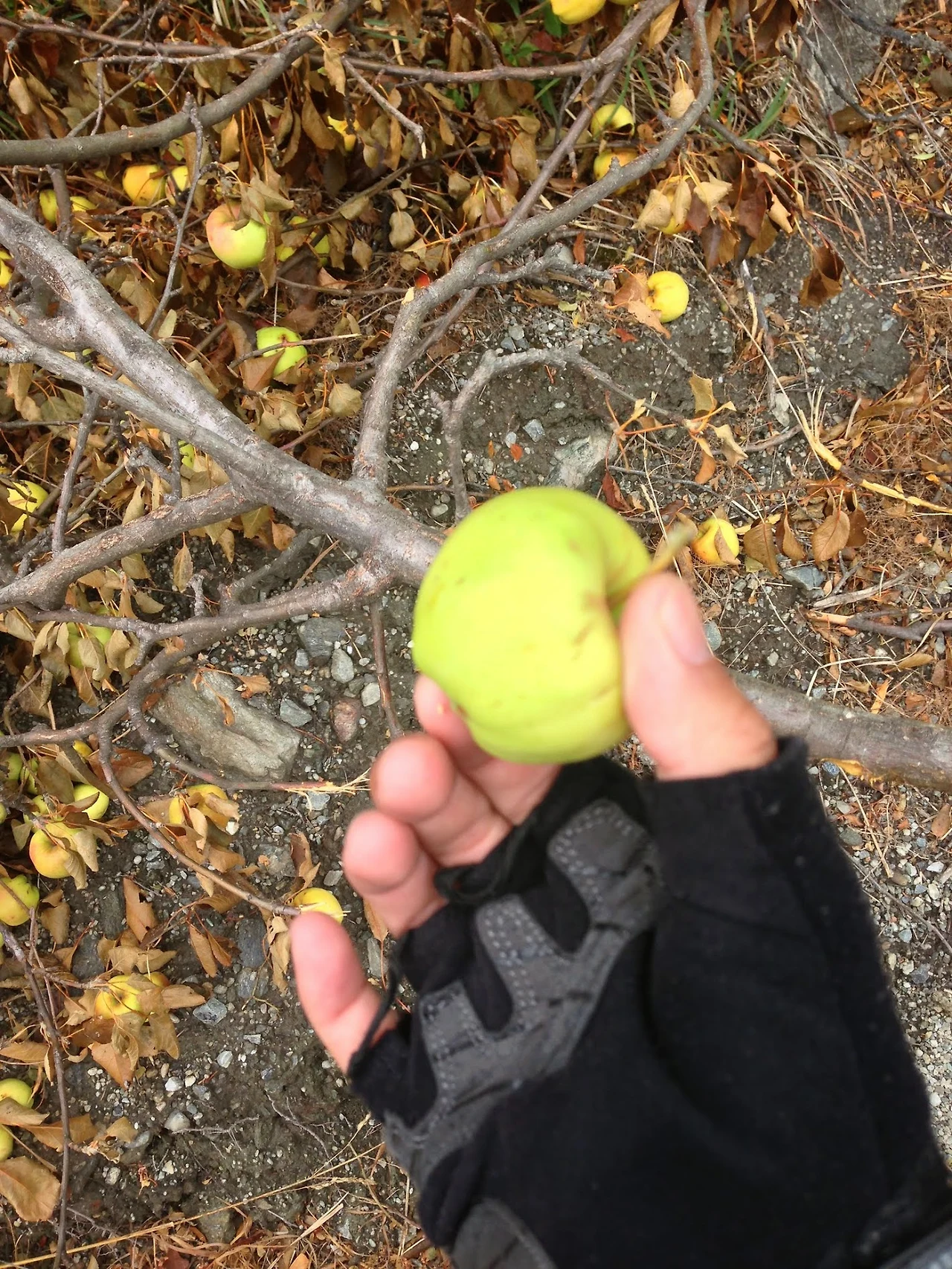 XoztRdPKLHSpxgyT6I6Xmw_5bg-ZbQgUYPdpCHzNcIlgXwiccHksxN5RVGEqBTYegE_xgc0WpH3cU7_Yfsx-1rgcCMOfVcWacKRO5Ndam8n6_G8UKflhqy9UQhFeRszD7xTkzlDkciCATBxYKFLuaFUxF932lkZ2zyPxjPVW2oEdL8p-saIUMZ7yAEoTmNw9RDyeSGy06koqVYx4H6i8G4tgcTFuA6apftfnceJn8FSGt_bafwXB1-7NYSOwCoX5LjAHmTs3GuoiKj212Snw1KGFcn8-LgRES_oahgRXLVs-4fdGd5vuBV5mkLuojvEUfonL3odi1TYYMAZyd0HBIpejoQMudNrHCJfrqiP24tIXbByCYU3dD5fD9qDHTqQom_36MRyIaby0wxpnrjp8JAThmjrpx8CPzMqhzYCTyN-iEaStWGMIDAGM9uEqF3ijKPlK8cVgpf2lzwMPa17LBjFU9CvzufCl1M3CHlSi1NWN2qCYk9RIrkY_736M2HJecuNKHkAOhjOxuDpUFgBv8Y8yEgnNnXPu8P65nszH8SDGqSETPP9YfUqdSLslWsxsnhZKI5aVkGfoJoU0VRhINgviN01-EE6LiJYBUfDKd0a1ErawGhcUz_IQa6BVN7AREagaL1y6_yeexSC542sFq1PKFdGnYP64vS7axVqD_5fgbAovXTdrnaNBDmIw_INDzz1v3lGJsX5zEmy20uCDWA_X3SGLO-GPrbbPtuLQeje0CjsBur_KY95x3hSHuPlzDRsPx8Pt5zotTHBRQjo9G_tq8PcU9Kw_v8m5IZyv74B0DiwfNhyTLSEsg5BmMgZ0pJc=w1418-h1890-no?authuser=0