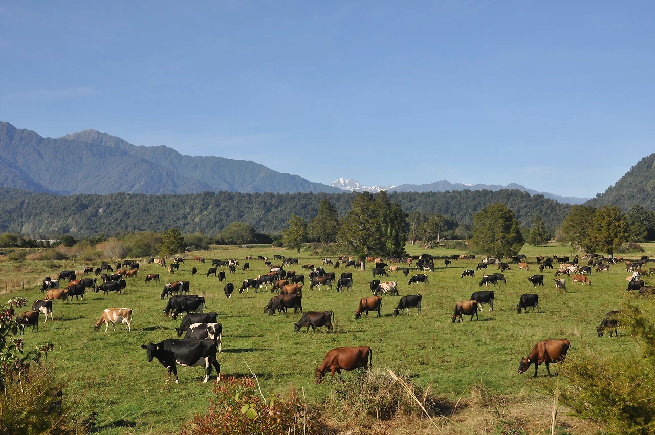 G7MgNTndYr1IIFA72BaE4AeoslHakS6yD2efEsJijX1C6AYwIxtIrFK_MiPav5wtD8qt7UwFlk-36Va66vlB36YVIcleobcV_dzRDOPw3ubJ6I4c8Dqm1iYnM4rk808_ENMV4tsY-hYkq5Fz3gDNzRcFtGgwQ9lbyUAeYLQVOlC7hAm6mQemaPjYk8F66jR_eWbPgzHG2VQhhz2rcmY6Mqy89uXDuCZj-LLQnTkcLqZl90S2SfwYclJEekuN6xp5Qn2V3ms4IMtF7VO7NtBAmHAGMMMhkf7QtcOrwFAejm9QYTSxvaGHKLCrDwF6ne5ohU1PmLyFKsoPT5KSroT-Z0wF0GMfltSMN8zFiLXx6hDFIUAhTgFOVUIief0J88-FYl20kGMPmN9OviGaD3BCwGXP4MgGPh29YPy71t3DwKTRyBMJS8Jko153xQFoNTHL7SljrlcqPPUSkcycBr4PnLYMXPFm8gp8qH0hBgS0gyyAAdID19PLK76ZSmL5k9koqw6rTxtcBeFAybGbh9YaTR5SjROODmDjamNjjcF--e4bv1Hv-LwBL9A_y8LA54TcHVCvJp7pjqBzisEAEEY8fbint66iPUFyBPN88Isv4sGVFBrjbk2N0Crum_qLpSq0mNkUVcRFxi0G26CbqwPwRd0p2Fc4-mhestll0KhlsvA7URfQzGBBVyb4BP2TR8uwp0NMy8OY8TMo_IrgLyPhER4Nnp-RKqK39_Wo62LBT7WjNduj7KGTHdR1wbP83UlG23VNTHP_QtfxZjQ19QqJxIpvIUdJ4JGemM6C57PahfnOaTfneG6ikLTFGH8aRtCrXl_a=w2560-h1702-no?authuser=0