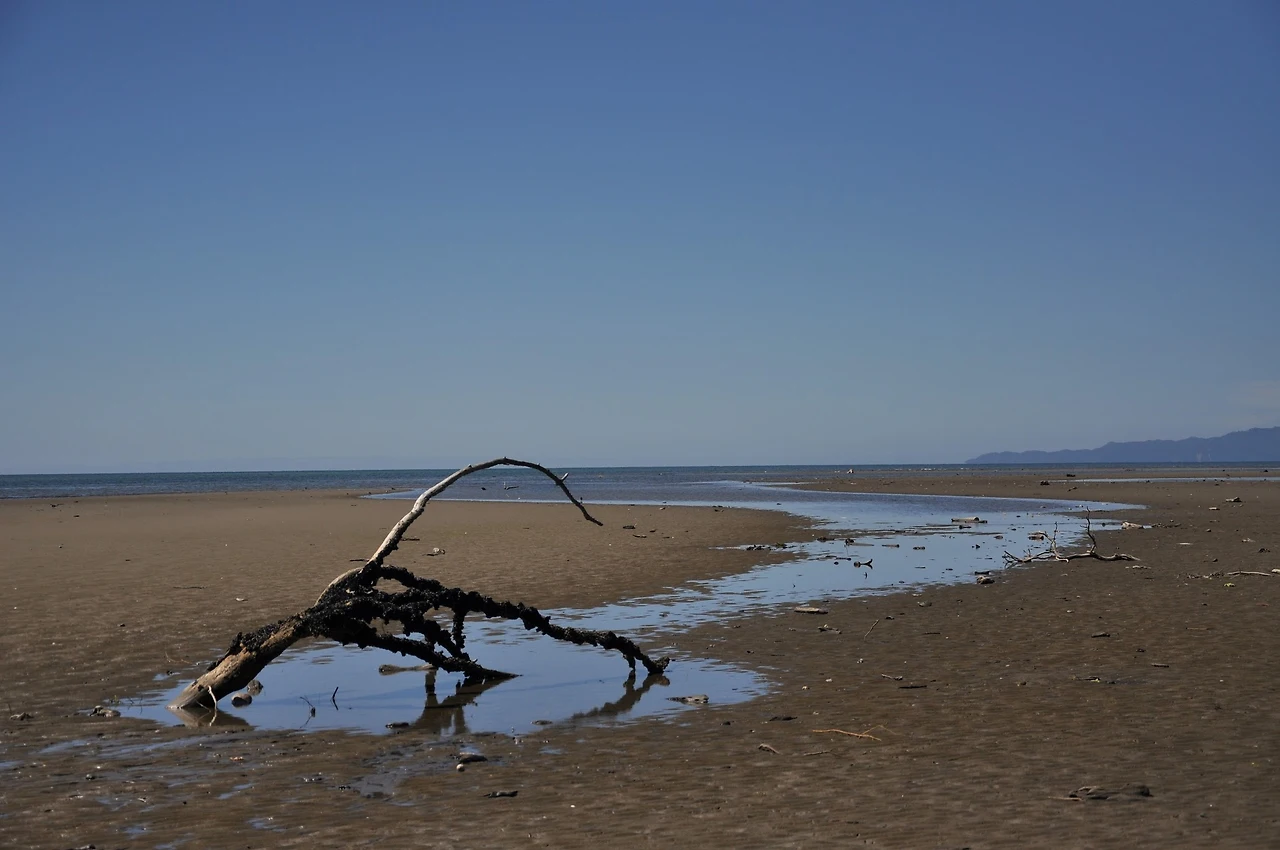 tlRmOvZbbmb-pR8GhrOX6Y-ZTquPhZ4QKaPm3mbxawRyPtwgX9zyxCBZrDf6yacMZqm2Sur36PMIxjjLrumSKMgdLzCZPx46naD9F-U1Wi_e7ti5YbnFAplvyUtKCoQ_Ikb2XLHdPsWnGMrP8555OQZOqgOAxjPQKYxtickYJ88AfAdpI80rL4joOHAxaYZcL3R2cwJwjdtaU55bxwAbb1wQPjj2ni_CLxqXPJV8zgzx_VcnkJGduu5zGAvHH74dTiiaZUua5Gql8nNxQ9Tk4Tc84Teej-pTX9lP_NYZ9wjpuKdNy6euEKoFjN9mwNPHwY0zOqMZ1D_8P6uWpHUQGi4U5Epp0eUnCIlzcAOogMDc4DcsUXj7-HzKAzGkmm_T4YGENB_2p4SBcp9bS1Y7LmT9VCAJWtgNuNr5JuSZYgm0HYkIPfIITqPSq-sHClllFbj8Mu37OhC8mDKGsBUfnYHlLrMKza9TssumXsqeGRGEMvMpCoFPRI66MRu9uxg-OscObXf9pSPdBeQ9OwmZZEwAvP5KO1MG5utkXtGdZu_LR1p2vGlb3ptAb-Dl2t_VH7O3P_U2QbQe1D5dnVBsERksTAMygR8GDfH2k2ZyWRq6zn2o05CSpju0e78q697HHVEtOr7hZ7MmLpQkRXfreuqNxcIShHkDwsCJN-_cxyb2DNxLXr8z7mzY0EIYyw=w1892-h1258-no?authuser=0