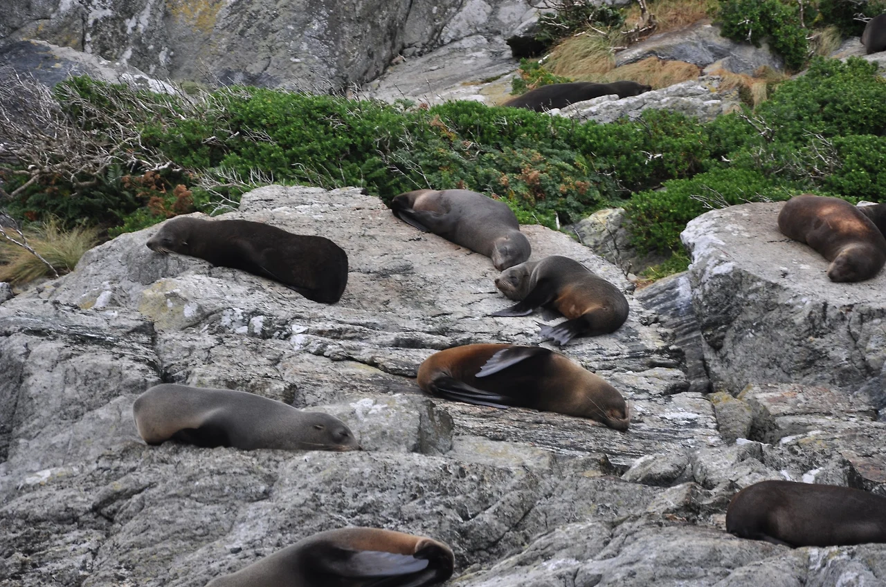 AL9nZEVbg0j2GuNSeihlQeH_baPdy_QNi6FucVaw0082mWY4WV2jcd9omv3wKrjbT6HUD-l4UGaZcW6RcK4buHszmGHovvH2zxpMqUcmIDDDRY8IdexS553WQST3SWyxRdTz-mprZCS2Oo_cV52dRQhjAJVLwPXQL6BusNFcv0S9omAx9Eq5AoBGSk_tQjdP151mYxmNRh8D0YVDStXe-wkjFC00LKKPojeA2Fx9nFwvrftVc6mux5uoOoRdW75BNEHloNYkT4KIFwHbJ0BVwvLjHo6f6Y5C7Xz2M2zmOzoSr2wNoVpyooymcqvi2ZIABsNIAJCD9o9N7y3HZhbVoODOlHMtK5aSq0fQ4W8Vh1x2ehVW43AMwBRF1qIlL4fCWMUQcQ4F8I0tjXkbVpN6LVTTZcuiaERollGihg2e6dRZEXe0z2306mJImwaFHhDBw-lf9nQsiHOO5-RAPg9ohCfghUNS65FaCqIrTQgZBa3c4x2muUNuG6RHn00IALlMw6u0_eVHEVG8MuEs0G2cBaiG0IXJL6_UCq9XiVxFJ2H_mbqNy80X4iECYK0kU9eFmz13wtoV8-eJMIOE8KUbkbitl0qu2u86F0gX72e1kEjgz4FfJcFxz9s7EsIhrzDCIHHVk9kcW3Fj8eL9KKZu6_bmGtqSR2yxEADyWGU5iLVpwXYFy3MYpOmjJspWPgwMpBFrL67kG4PD0uRnX9JC0dkDjIC9DLWAzD9v8NUV7AwidXmL1zlkD-yWmhMUvLG7mcjnKY_AYBRNALgi68m2Y8qpNOWlrcu-RR8xwXcWjGtx3TQ__cLq5XSjQLskk-5tDfJxHv9Qej1OGTrPGlJDmadFJFJxuCC6Dw=w2292-h1524-no?authuser=0&amp;authuser=0