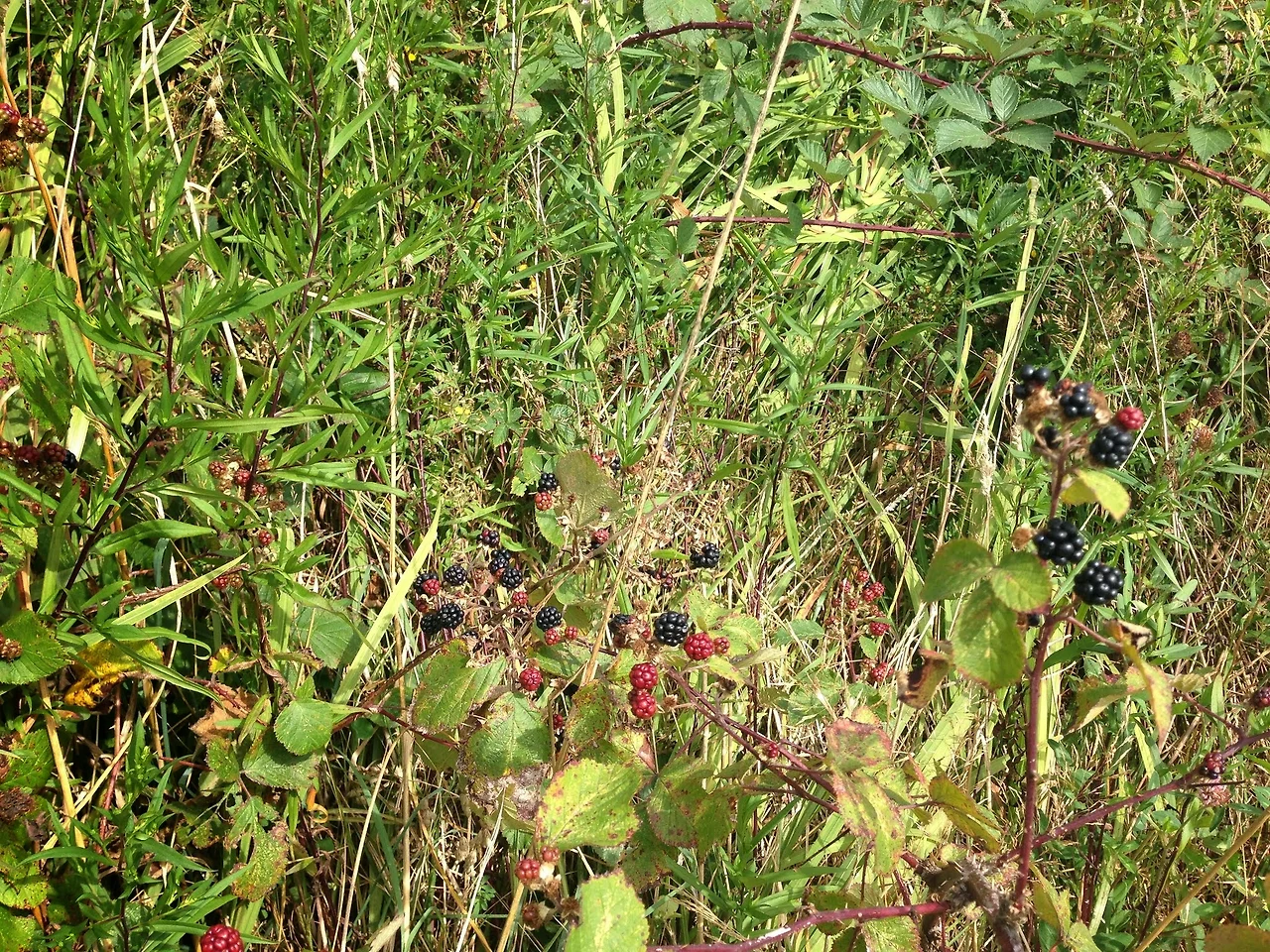 nblGujtZvEQOdek5v3kHW6e40EbP2aON7-qHR1brfqAivxuPSxIqBBGMYV_pKk0k_N5jLq_Ud1OCUc3RyA31DxZdAR3eJXI7ib7gI8nGROpjI3HMhh8sExYpgnPzTuxlXfWSi1XHQ6sBXfw3m4pxyupjVUBM8beJ_4ruR3p8KGCB0jsmC-lDLIfdmOZxiq08rPH7MuRz0OJnktDrRyM0q8flQ-JuFPc0JSrIinKRe63WDdmVKdEZMi_LjtfQoe3Rcwz_q64tyyEqav1ZjTupV59A1TL5eE9mXXVfwnXN--agWlEsJh_hNQ0TBeil6PTdjUql2tKm06Tjd6oQ7VAWSzF3lo0kZMSHozw97NK2p3sVIDaB9qRTGxf0vrnlH75reXdGPrvUfadY-eWGuLRL37eGhoOsmj4jTBfsRWWjgUMZphcBs3y3MOkgRYkRbFfBy3PG1KKc-IGWV1roGsVQY9MkLZ-6G3eU7g-PppPQg_LULMqJ0pPlfj_PWKlmWxwObhDN0YGAZVTey1JY_LvpX8AFFoFcu6-sGYF4tr2zaJ0RbipKpH76Jl2vBE0Sz2-A-GY1jRF9RJtO3LaKsoKA4I3bDWMvfVLT3A8hkuxE9p0xbdSdEGVDAiEvq2z5Tp46XWMpmn6SqoHUsRGIrG3xoMOPvS0ZxjscbClR8HgMJflHRHhH3RJcXd3fYki_siCauOsJ74CF9BZQQKMkxc_OnOnMzjnxSlYIoyXd_khMrZemMFBpEUHOX3bq0wiuf4uo9o4sB68BerhHMOsrWWkxrPoMuLSoMuM2MkbyBZPMlmKIJdiLBMeXdL8Rxcxbc2Dz_PA=w2048-h1536-no?authuser=0