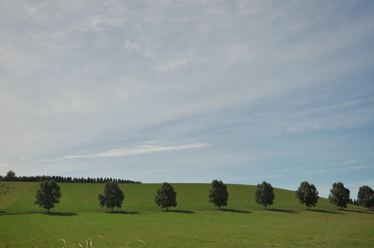 AL9nZEXXoTO7Qs9EvAYE0oHIkYxcJZJ--9XoLPL5L_iV-0qFXRDyDN3aNUeGqsK2YXX2IL1rmnhSEueFCAxugryyaPKmAMcg8V2TBWWit1PdZAibTcsMgQUICnfDyygji1Pt6KjjX5rHoRjpOpA_f3NmasDvNVoPnKRiETaWzA_lL5-O7PLGxNZ7R01n83TS2Ewi_Wh8LqHtPOs71dHCaDEtNHNl-AN80kXuPCmNbgVwYilxKuQxb7ES6PQQDVEEp_s9mmWju_k07vb-4cxgLDytpzZmC5-uuWQzWAVJwPwYqoyHajGSc9gS6edzNLwqOgSv21q42Xmt7BcjwhuowfAmKu1DRsDR6bH_BCKmpsjTAKir-uTeXDNurtjwIYPGKHmLPQwcDXjLnWAILQOTMDr1rTVdxthrUhj-LI_oytjKVvaUWZbgjOI40E04pMic9R309v8B77e5LUwXWHhuuYC2LyaiqFMMNbgv4FutfrPNIc1XrpW_q29e4mbg3hyBYP5l9LGsgLxgkyhbx_fBhASkotLMJhtSpVPAVO1hS2kgv4OMnH2trYi-EeoB1MZwdCOh5zO7uiBZd6uMjGndnB_RjN0_W13mjzfBFBqgek6A_IzkFMT9izNHL5Iz7q65A0R4wCt9LI7dV3m4bJMxq3_AMfuZbiaOQ2WMQmBftfy7BTcdxRbX3bnS78-xrWxJR9FARlad5LpBAPoOCl9RYMBzTU5JjM95rxCNsWgY90Jc4gDeGYp2Os0zr904jYqIOMvbCdHd7QvX3Sq53StA9PrSHpmtuj8C1SSAPONt5MptdZ-MLHLjTR-y8W5nbuhgaMjMRMCFcnxMpneBNycF-jmBTYXe0r6o=w2048-h1361-no?authuser=0&amp;authuser=0