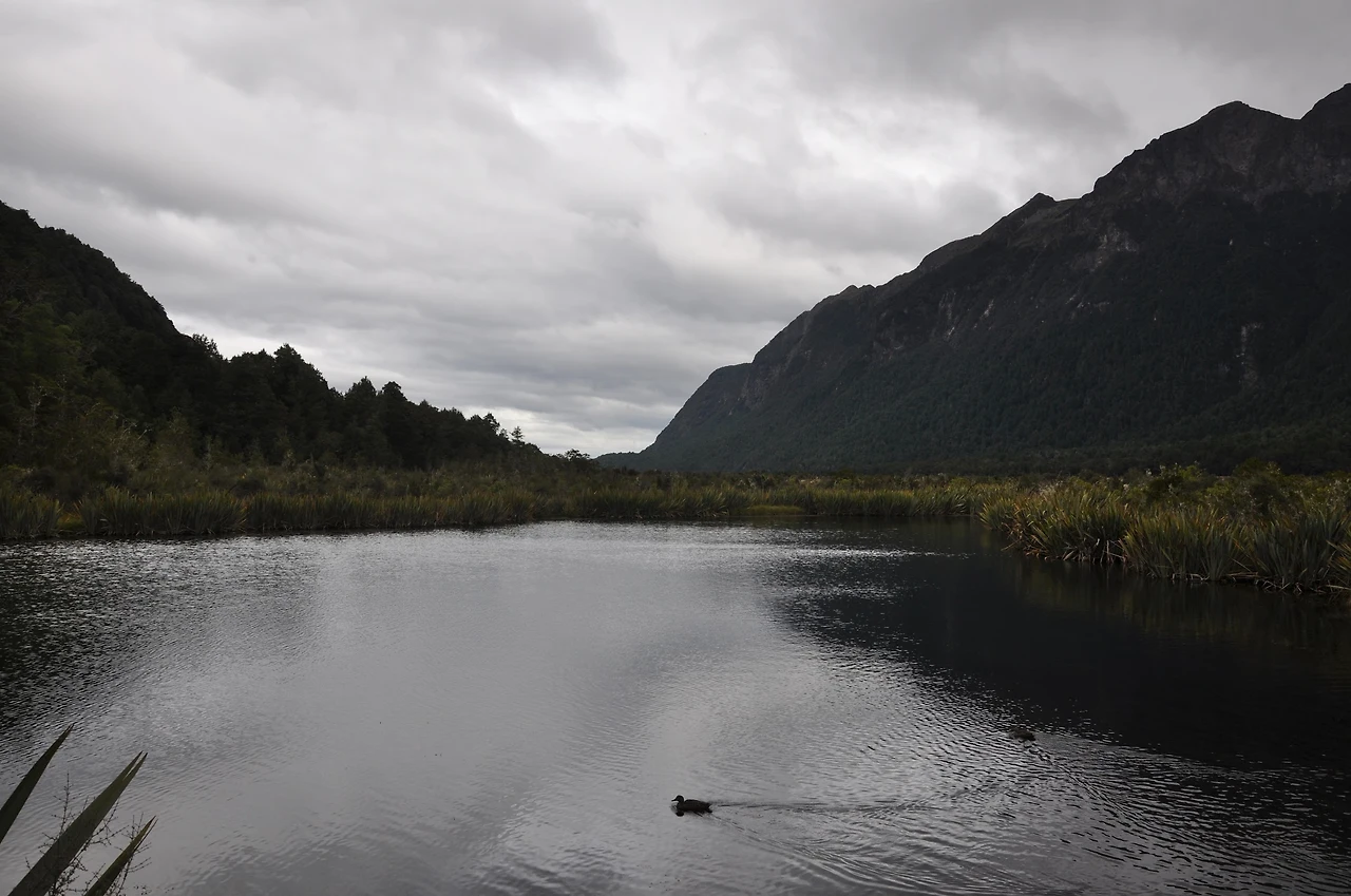 YvOytax0MfZ1oD9CsWQQY9614DS4cVoi3QCRKOr14_4UoNQEBqT5qvT499wM8UA8z81J8xgNI7PTVxqkNZw0g11htaa78LhoTOu2SAAj59l6vheGLAcC_jc45p77vFzhKtQetR1uKmqaGZ-PNmibDWNSZ2TkONkM6MZ67r2t0lzAQMi7ITjkmOZXkxYcAEADX_1YDW0JrmznOwP96UKlpnpl9WlFrTjZbSbUGfvCf50NB682rt7R5QHwjqbZj9eCQY9mW4HUgx4tXNJ5M-Xo7WGj8Et9tXmrh28ol2Q86AauWmaGH3c12AlfKwTSovvykpzWhkhbeIN4kI1glRoco-gCLSF7wTPnB2wkUcXr7uprwlP1gC0AgDI7LevGuW-_TvPlkGGqEZKM74wQQYFrw6PpKyOGx14XZHR0Mhln5NJd28MSdZoYHVxXxEYh4lZzbbF98iZ7U4c5ikKQwD9nt8GB-lg0gt9_0cNhMDxfgl8bvVCR9XGoJQEHReakLiYhrFjrWtrPfUcd7C4Ft3g4QoJn3NpoIsjFzWv9Zg5kxAcOeFIljBgoLQIc10BZIcUUVbyJ3ENkSZ111L4BZKh1EEl-2HGtH6xrLILyatA1shasIAIFAXqCdy3uvSazHxfl2hppbsQLjOpFc0WEv2YyRqRGXRG-DkYcolQvd8fwjyX0oc4-SUYMBnCcVwTF28ceRZllNsANmRGA0F5NTgj2dKpOS1Lz0VYZSDnNIBPF-QacB_5e7MZ2bNNUdsQ2V5HbbOV2NaypSJvJSP0yPR792TBF2EMlpOecDdo5WWwSJ_bGs4mjiRu7kPapq4EkL4ZU12oA=w2292-h1524-no?authuser=0