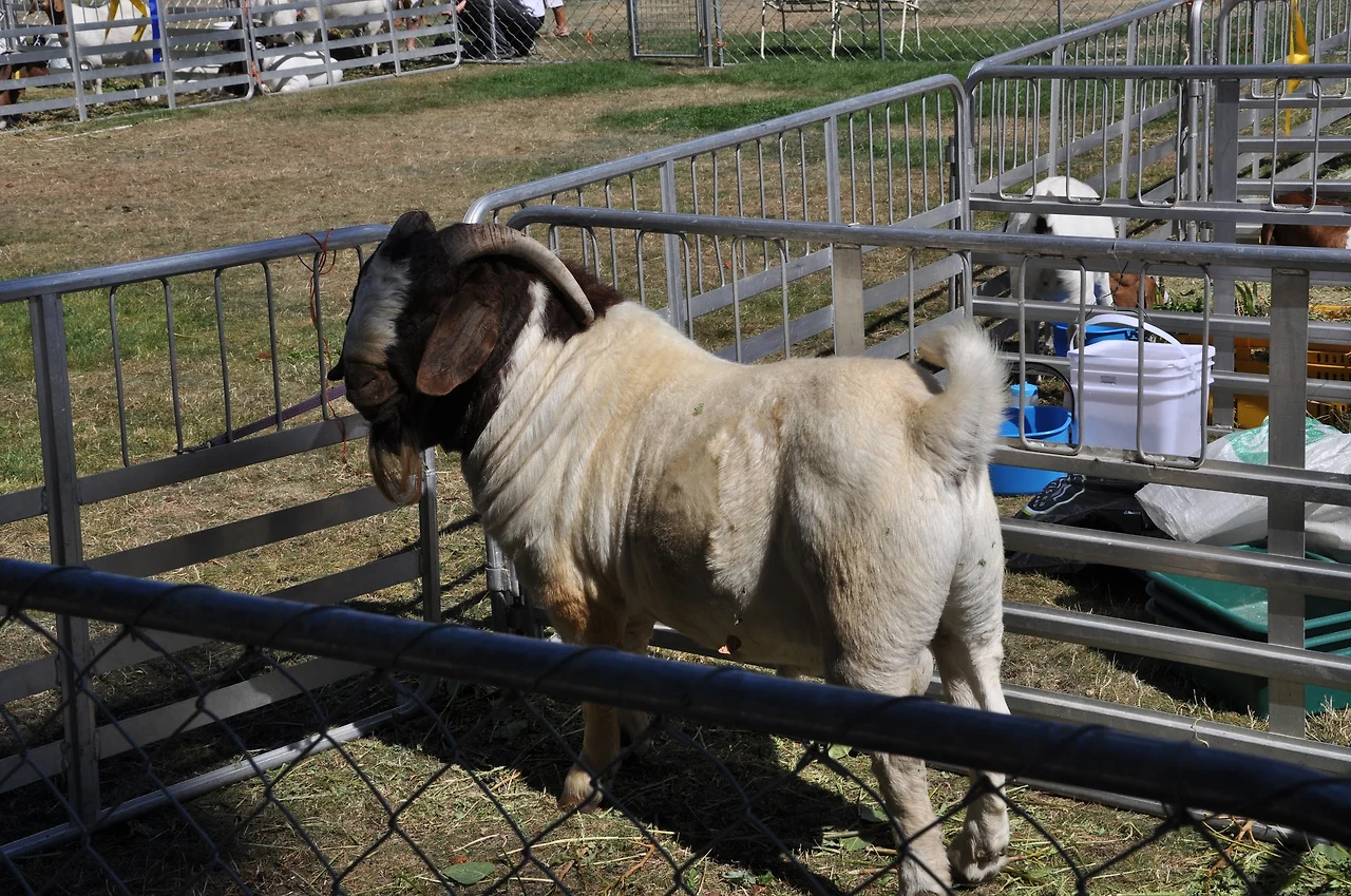 cUF9It8sK4LeG5I0PE5Yd0iicn2mBXOsaDRVtFNIIKXhfinkJDSotV-aU24d6kpdaK9TGnsoYSWpfYEYvoUthYqzQHS01zo7jkO9bkCfpB9_Lj1WvXbfU524n5D16zXTlRK630GBkMMlrl3dTuWqTi4qFbpHOllCGbA5VrAHVL8yy6Cpx5Q3IHXME_2q2pOyIdtTuHPLse8LfTsIYm1cNmTWIx_mB0LehPdZohoJ5sEfSDb17ZCV5QWbgF88TKm8iDhV3tQNFkBf3ioAMT8njkqmesHm6D4P8QmmlxTaUmc_paQVImdac8YlDYGRyW3_jCq3KXLD9epMwmGfezFbm6NJcszHH6eIo5b_MQZIV7t-M_xCphdJ0CEqQ1llGRNvQ6Sa4g_pasPbOHiT1FbyGiRiyWTuKO17lb6dQEO-LDk-9XEVTVzo-LviF-4lB6nICy0IoO-77zF9840M9epD_EKA0sY7k_nof6sEzJ12eOJYFDVrmQWuRAMaOAdENsbLM-afuUoWBRzK8yodsRLzM456Vla7s24rD8z5SWVEyJNiFgWxISXFa_On2tXiL1MGi7uZ7t3BDU-rJKdcNQmZsQVKESHzwmPCk6q_fs1G3biUIa6aJ65ivWQG9JnmO20ai5zaCj3Fb-GAcXpgyJFbu3GhStPhSNZwxquKzxaWhfEF60CUNFdhUlkaJMU1uhi-iuWeXeSZxJQ30vKapTJQhZqUD49M-gFF4LbVhtcajuZRi5MJceK79TSKBRwhBW0BfoXazBQhieY_D9F4ig1tl4Rt4FK8T3R9QLGpr0sDmMjl6fcexyeSy0pUwL7uBnrEpnu-=w2292-h1524-no?authuser=0