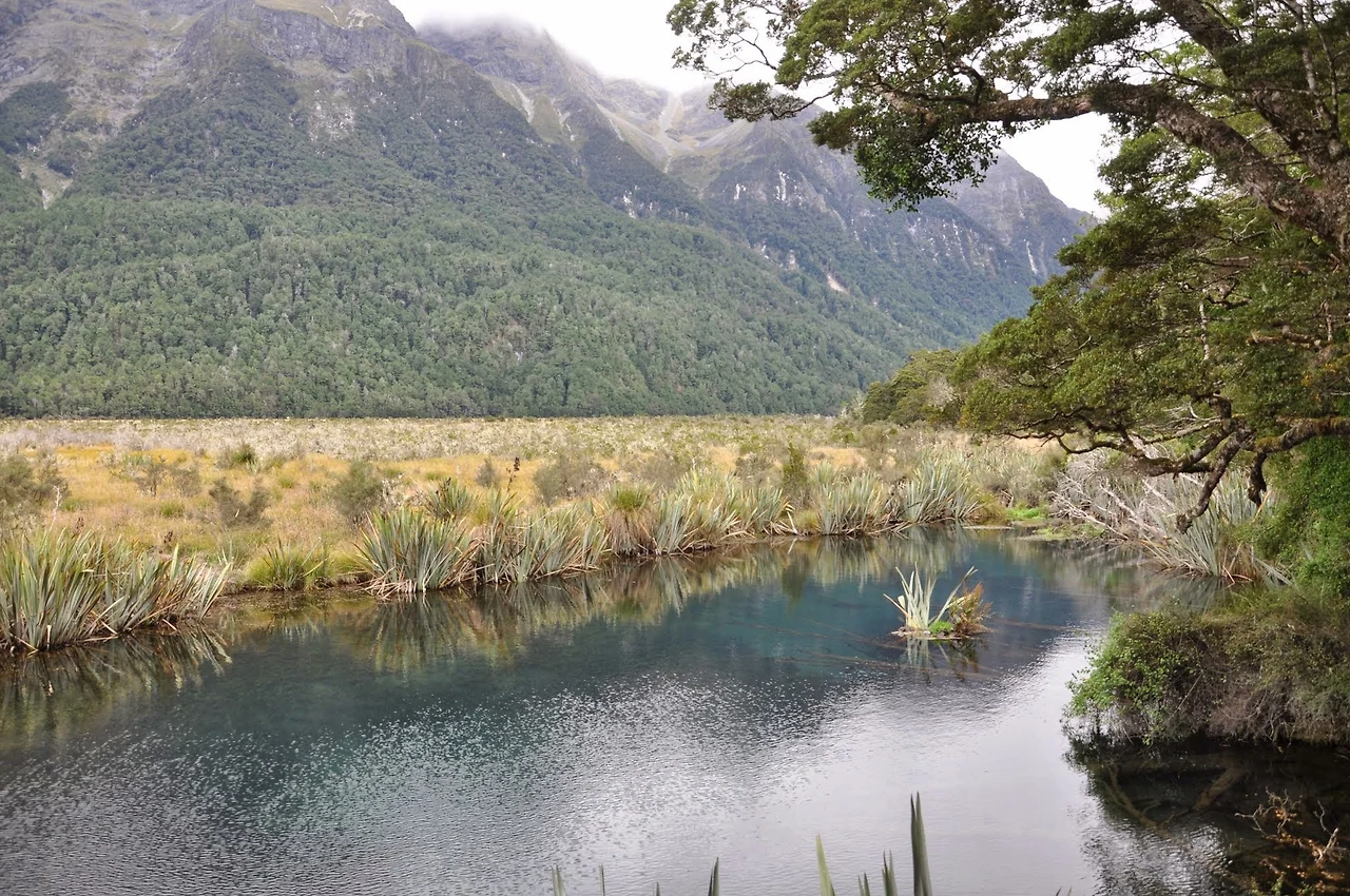 kMAAV7RCU4mSmmJNU5t5ZSLKRtCGeel3-GQTxxd_2RVXBjmUTn3AKZe-x3DuBU03_CargcKeCS3TbYFo5ZX9oFp8QwC_ir92XcVuOy7LQR96hI_WgbgFFYTg1Q9cCTD5XTPvvUeedgR-gsOkvc-c-kAv8ARQgywibQae3JBG-7u6OqgJgASpP4gkUgjJCga1MrChYWB65vEvwUxQh60s9FA-XsfPQ4JAwsbrO6gag08sVWgksV5yuTN6i3E5jcTqEDEEHz2czNjTjbDwzZnLMxxn4jFHZ4KVh7p5auQXJuKG_LDpa14tqsQcfEIIFul_0i8lcy_bwyVZcssuu4bWKB-CN3UhmYUa2Q0bEjvlKC3-LK26P8JUGH1YOD72GdHC6n7hsWNFWTqzVpXviYJPVg8RUpGIX_C9bz5qqlenVDDNwmbOtA3X6Nj2ywr_yORavGIbLcHcRlJDmGtOCLRO56uKTAYiPLOTuYWgTVSMMxIOBLLZEOeIf4jXzNTQ_ZedQsTtcVq0sGh8RBO5t-GSY4F_628TZgoiy9hJGkiWUZqQzh6fqEUOXH9_Xm8y92y-uEomCF-Jfd-vtK1goVUz5rxqhQkGYCyvF4ZgrsVWWwg9ZLUgexbM6Deyqos4vlZPEOmDWUGgfkC6pJOJqxOhJ13n68w-bPMFovWu-7qyb4mOWR9C1XrUJHr4ofVpoAjbB3owMSflDl0R0cXSv4ref9w0YwkxZvCVYSNLKvjFKU4dg8zr9-MMLScLzjnHEUUnIE_WEbEy_XX3a1fflqpnmu_ifotpIB0VjI04bizPyUZQbk65P-Ccu6uPWBt4l_Xmvbw=w2048-h1361-no?authuser=0