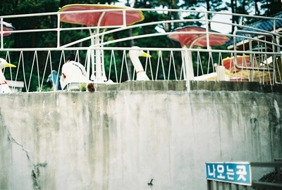 %C0%CC%C7%F6%C1%A4_%BB%E7%C1%F81.JPG?type=w2