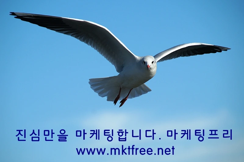 %EC%A7%84%EC%8B%AC%EB%A7%88%EC%BC%80%ED%8C%85%EC%B9%B4%EB%93%9C.jpg?type=w1