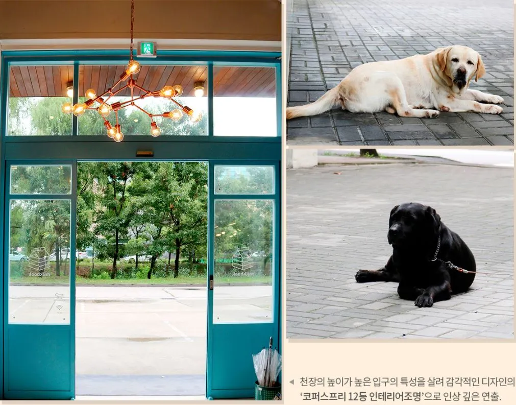 카페인테리어 카페조명 파주출판단지카페 북카페 빈티지가구 조명인테리어 3.JPG