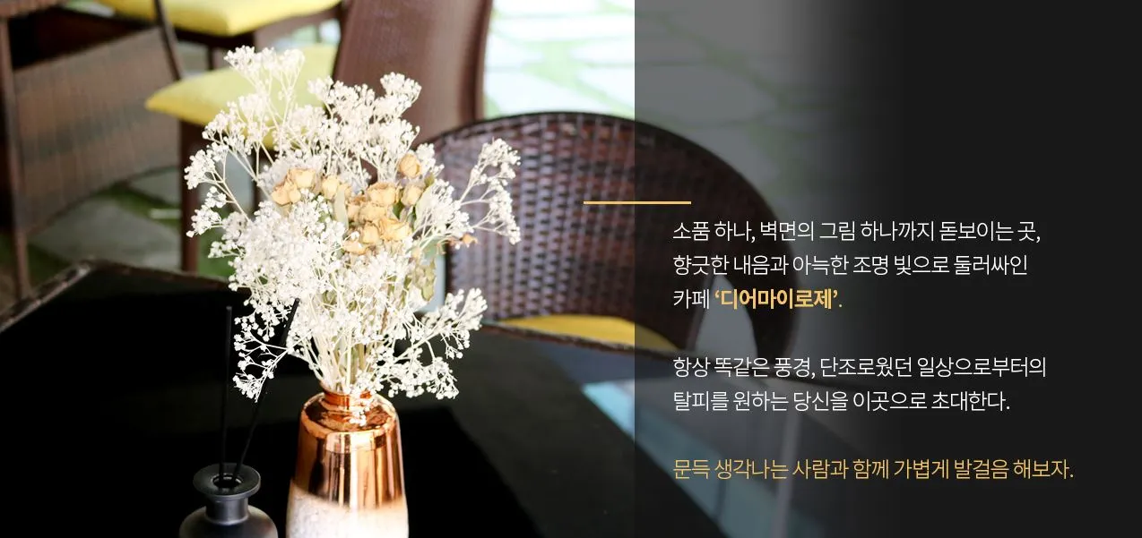 신사동카페 디어마이로제 카페인테리어 카페조명 신사동맛집 2.JPG