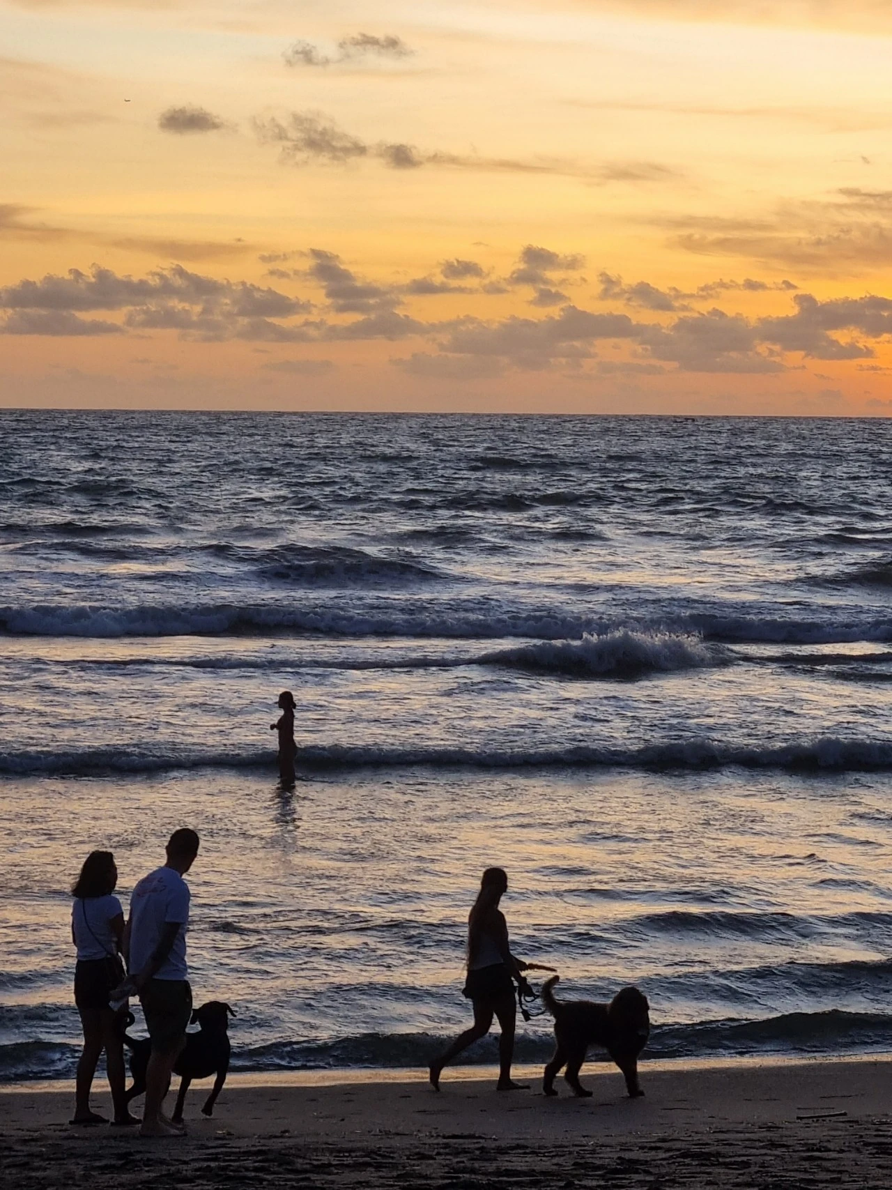 20230113%EF%BC%BF184814.jpg?type=w1600