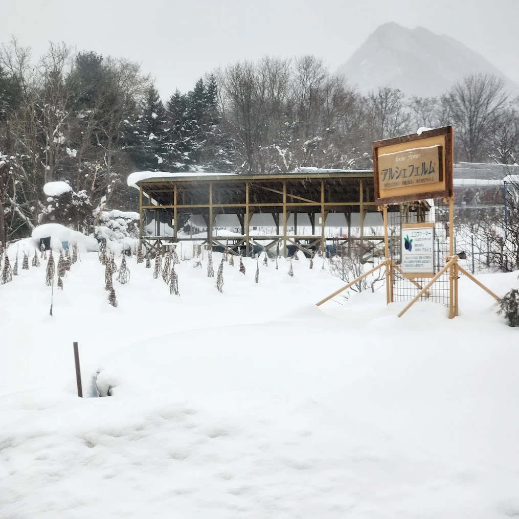 ABLVV860YAnDBLqy4Y2Kvkz9zTH2auG9tHOt0XS3enYpfoKUmPf-HmcHdDvSYGJcuIjHT85HlSC2vpVLsyOPK-5x62JaG_4Ue7MXTKHbG4Mm9_LbSn_cYRhoHxmC-vNz7O2CV6tsUEv-dk5ui3DCeKgR-1fV2fraISgBzsafMIb1ZeYSF30R51NR2ayJpPCo8T-aInt4Hyw3bDOtTZWpp5AFWOs68cM5NetA3WJSBUWZHJhDrxOsV8duaSNAJaJmbcaYeUOtqXZkAZk_LFFmPFumBqqOvsf7wR36PER5iQZp6k5xQXkwWnSE54xh8DQz17QPT2F1fQMEEKXY1EN1blGwSIYa2OEFxFw1WqJE6yOQYeeSjHQ9SApZqv42YwklkTfDjVDKeaVmlNOpH2mB9WL0YmdYDUetqVKd372ZX7vfNoVmiYV4zkZLIIRwz2LYVjW0PkQYeOHrayU3YnLuNzOou8rOw_Fdq5LaL604jSYcT33-7sTfBGhIXNnGyGWgCke79CM4oxRuh3z3gNOTb5TUb6UThkL5_sPdnUQagr3Atp_hMYrL0oYA3OM-X-D8f9nqC8jR5Si1lgQCNkn_NxhIbWviSSv4X2doZ4rH7NldW8FmfOEKqNVv4bV4VNYBKBcuQGEJp92y8A2htli4FYPqXLJe3OQr4_A2Pk0eauJE59A7f1PJNfQ4kQFXkJ7n7-NBdPTRq8cqntQVpzVwMMk2u-RkY5Vuia_xDeNMs3Zmemuzb0ehdhi3dAYUSjfcv5dPO0ZoRCK7m4qOh1llIPBUjJW4CB2raOGSsYJHqova2oEc9U70t1L-VmJQIrqwxuSWcG66X-TdscW0X0AYm9YYw1UvejeQWNaXiJDodvWlGhryOoBl5VJOuNmTUanOx0icT8ubQolOAruvYW-QhT6bjsNeoxO__oYc7NPtWOzFrR5qF8S7aNuiZYyaolPwlo84i8WA4D0D4P0zolKPBk89sR1rni1zg4Xot42AQijm4t2C5ZWTDSZQPtWcEuZ8PH2w0oI=w1015-h1015-s-no-gm?authuser=0