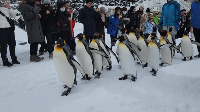 20240123%EF%BC%BF105958%EF%BC%BF1.gif?type=w1600