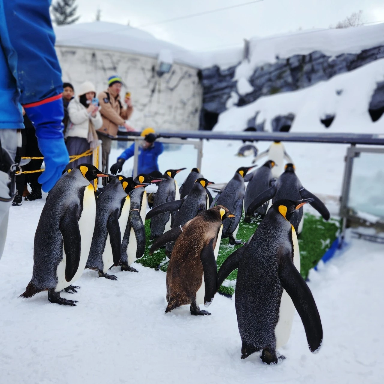 SE-67cbd297-ba43-11ee-94ef-97e48778e066.jpg?type=w1600