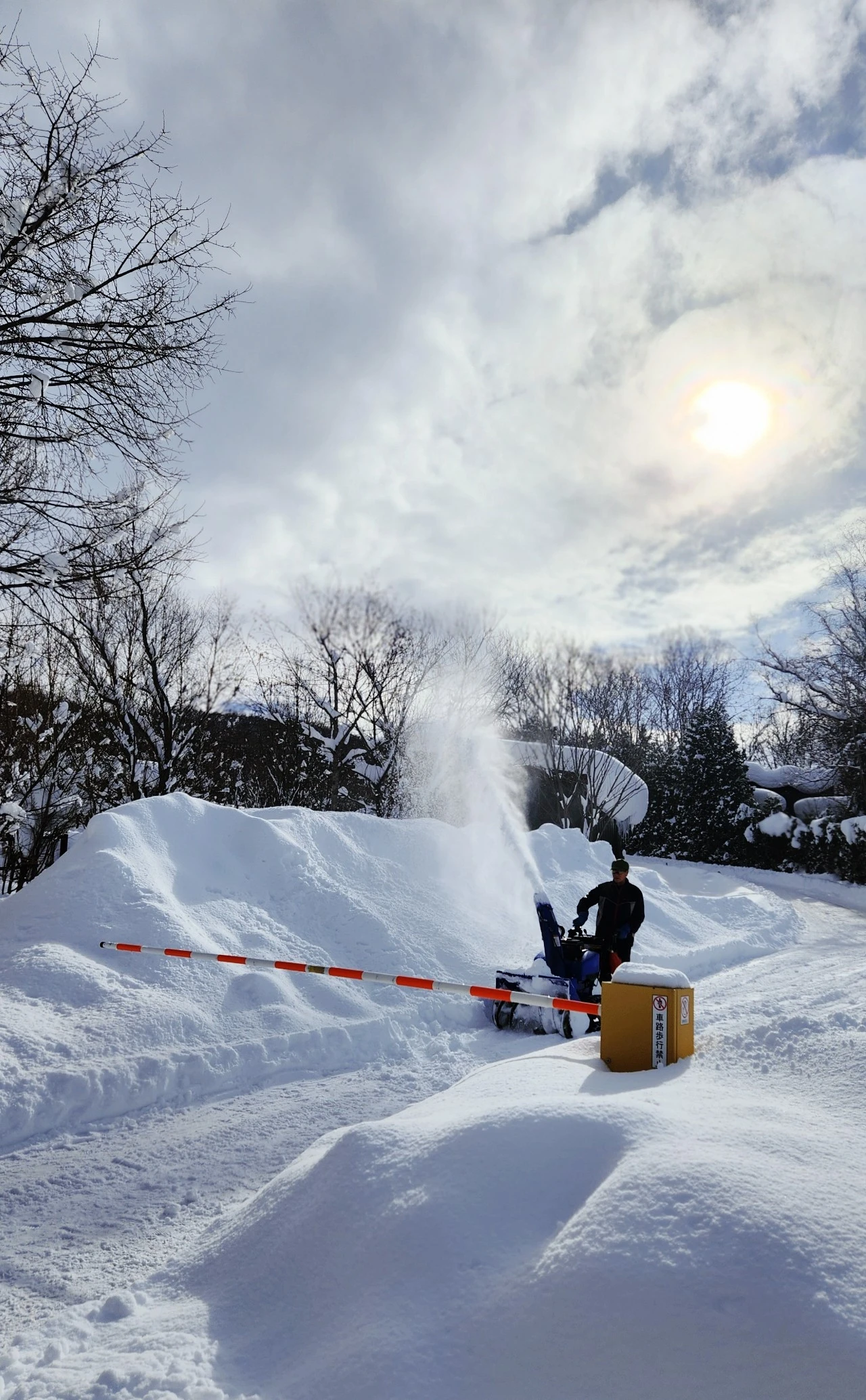 SE-67d19f08-ba43-11ee-94ef-dda66ee86eb9.jpg?type=w1600