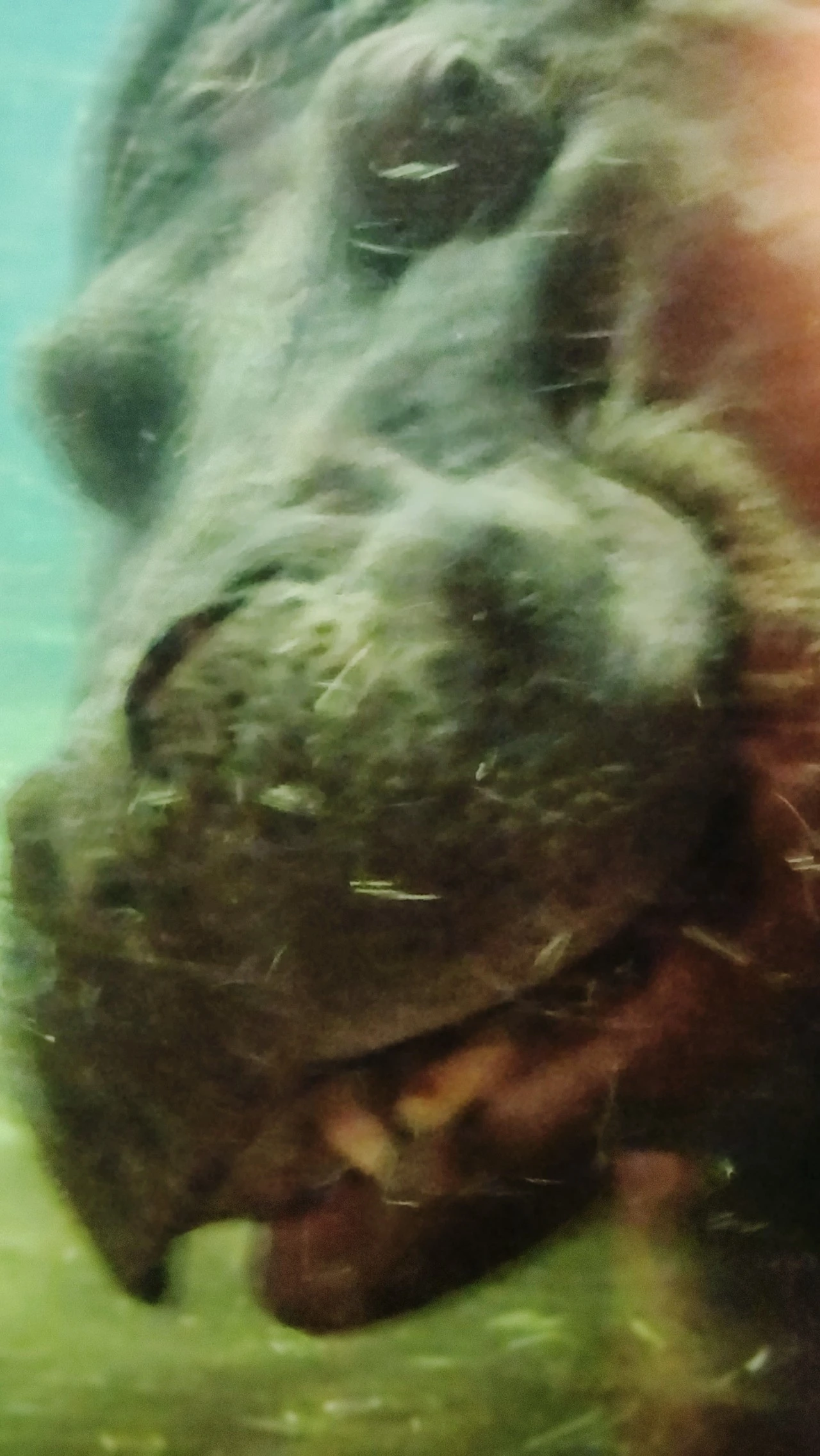 SE-67d1ed2a-ba43-11ee-94ef-478769fc7f20.jpg?type=w1600