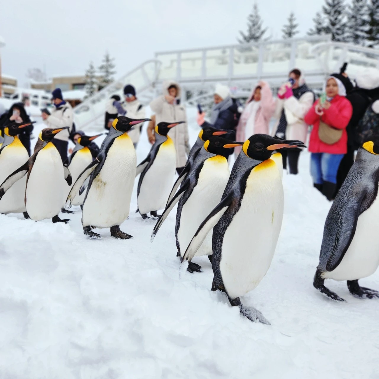 SE-67cae836-ba43-11ee-94ef-2f03f27b6f39.jpg?type=w1600