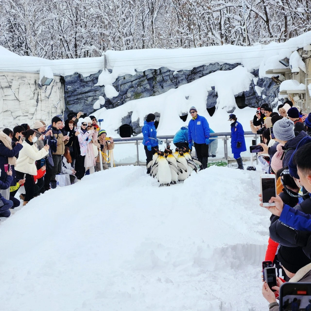 SE-67c988a2-ba43-11ee-94ef-13b575f8fc4a.jpg?type=w1600