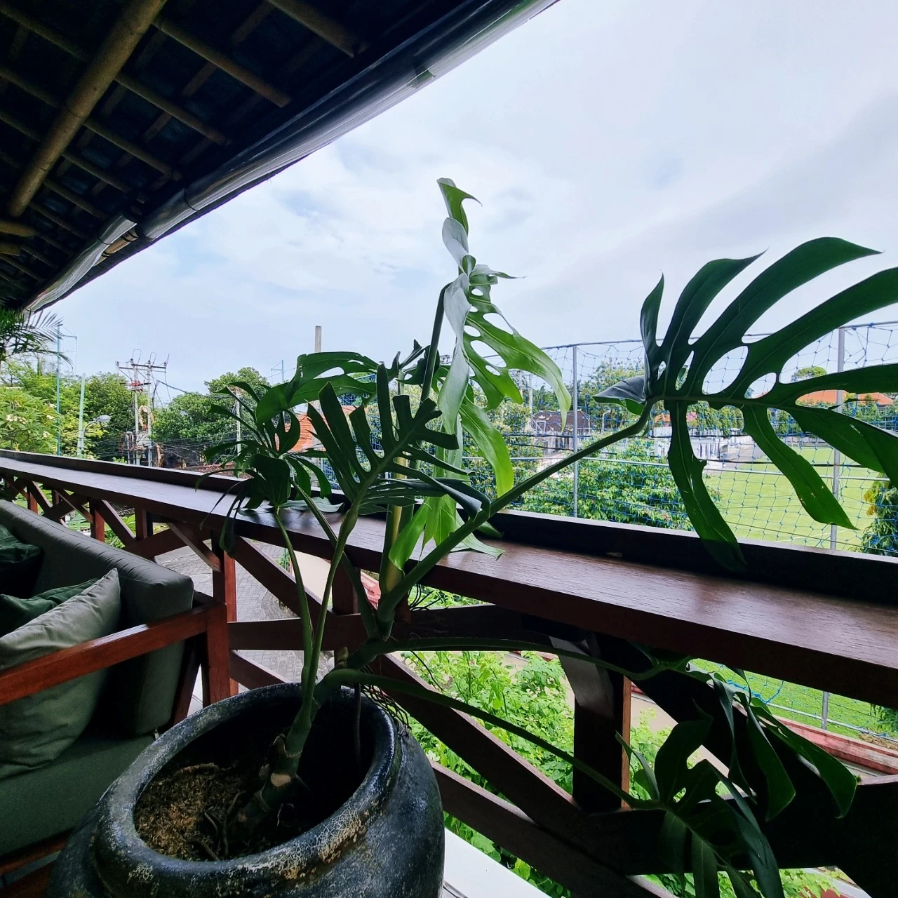 SE-a76b8b52-9587-11ed-a7a0-f7f9d020aa44.jpg?type=w1600