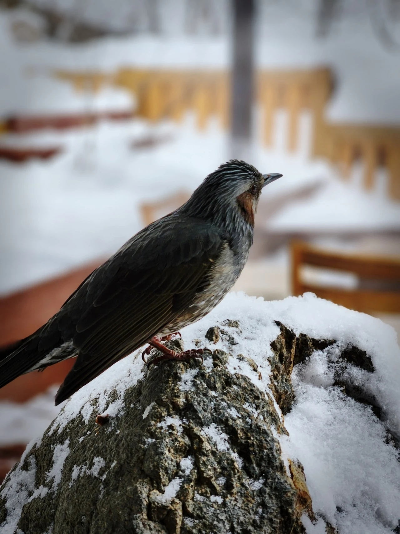 1705914444825.jpg?type=w1600