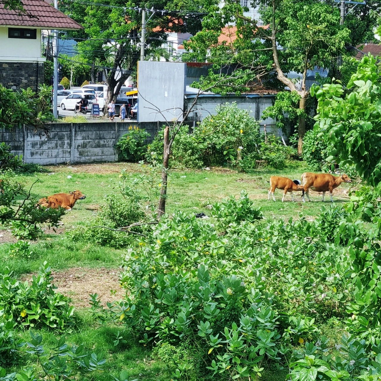 SE-a76bb273-9587-11ed-a7a0-35e1f81a1b13.jpg?type=w1600