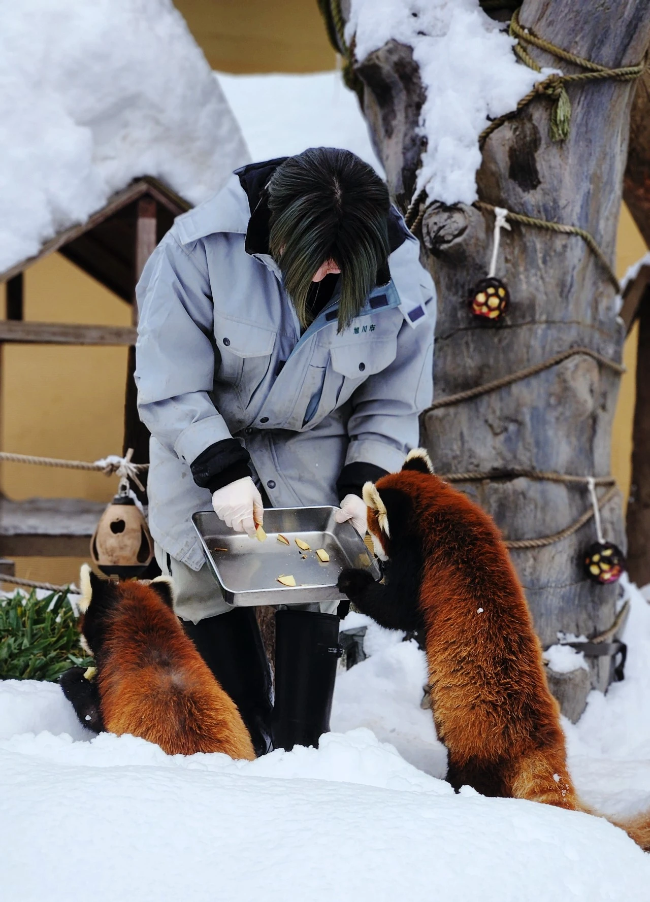 SE-67cd593b-ba43-11ee-94ef-2f976ddcc9d8.jpg?type=w1600