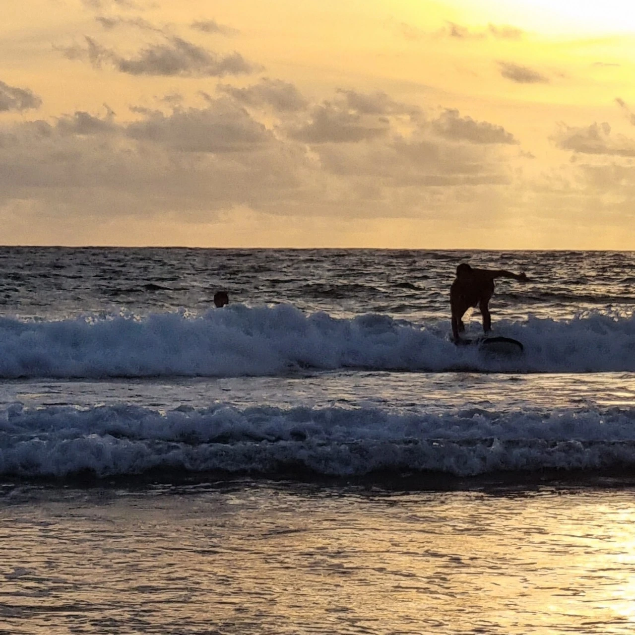 20230122%EF%BC%BF181814.jpg?type=w1600