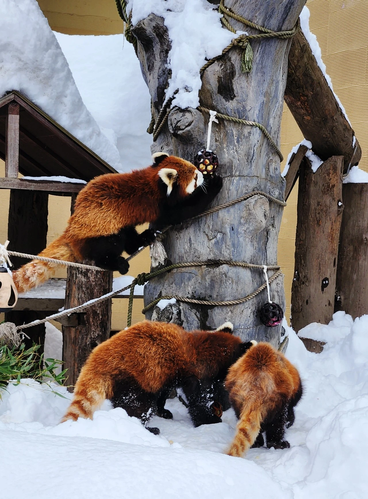 SE-67cf2dff-ba43-11ee-94ef-3fe68498d015.jpg?type=w1600