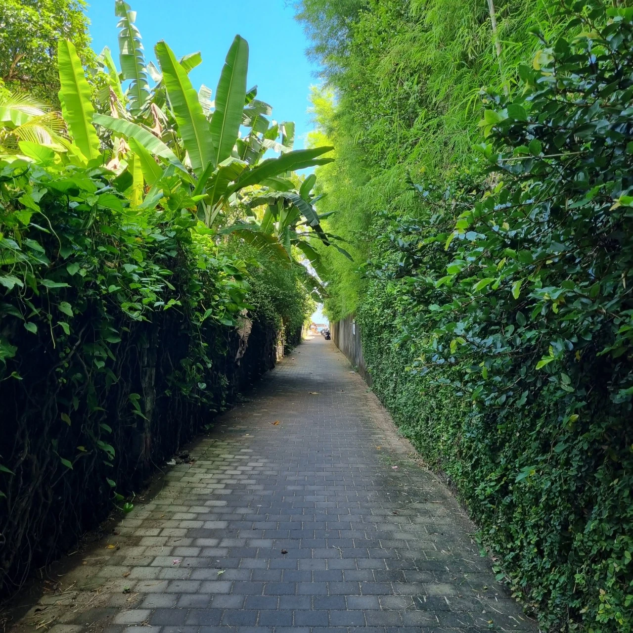 20230105%EF%BC%BF135631.jpg?type=w1600