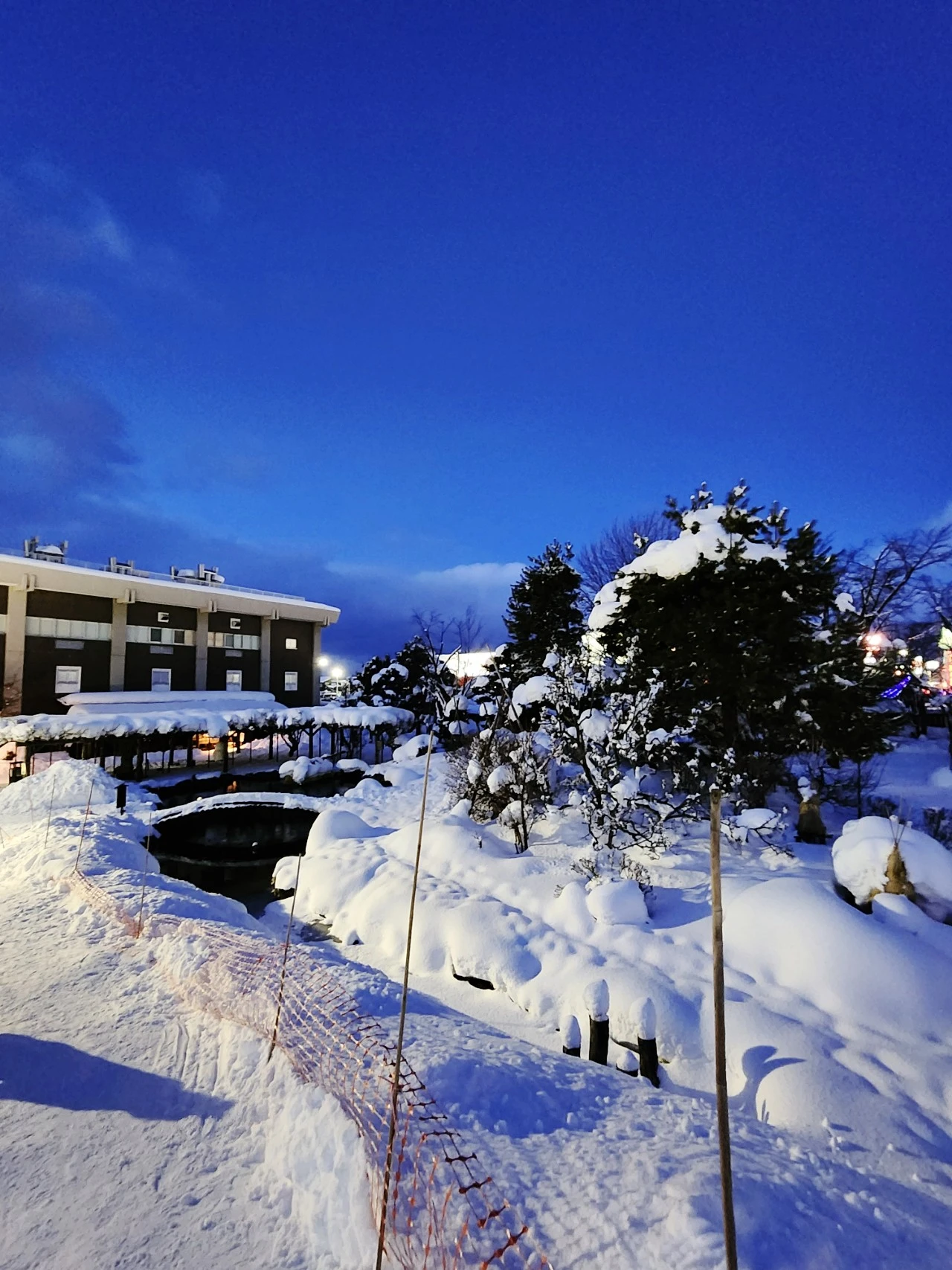 SE-67d6811c-ba43-11ee-94ef-5b2d0bdb85e8.jpg?type=w1600