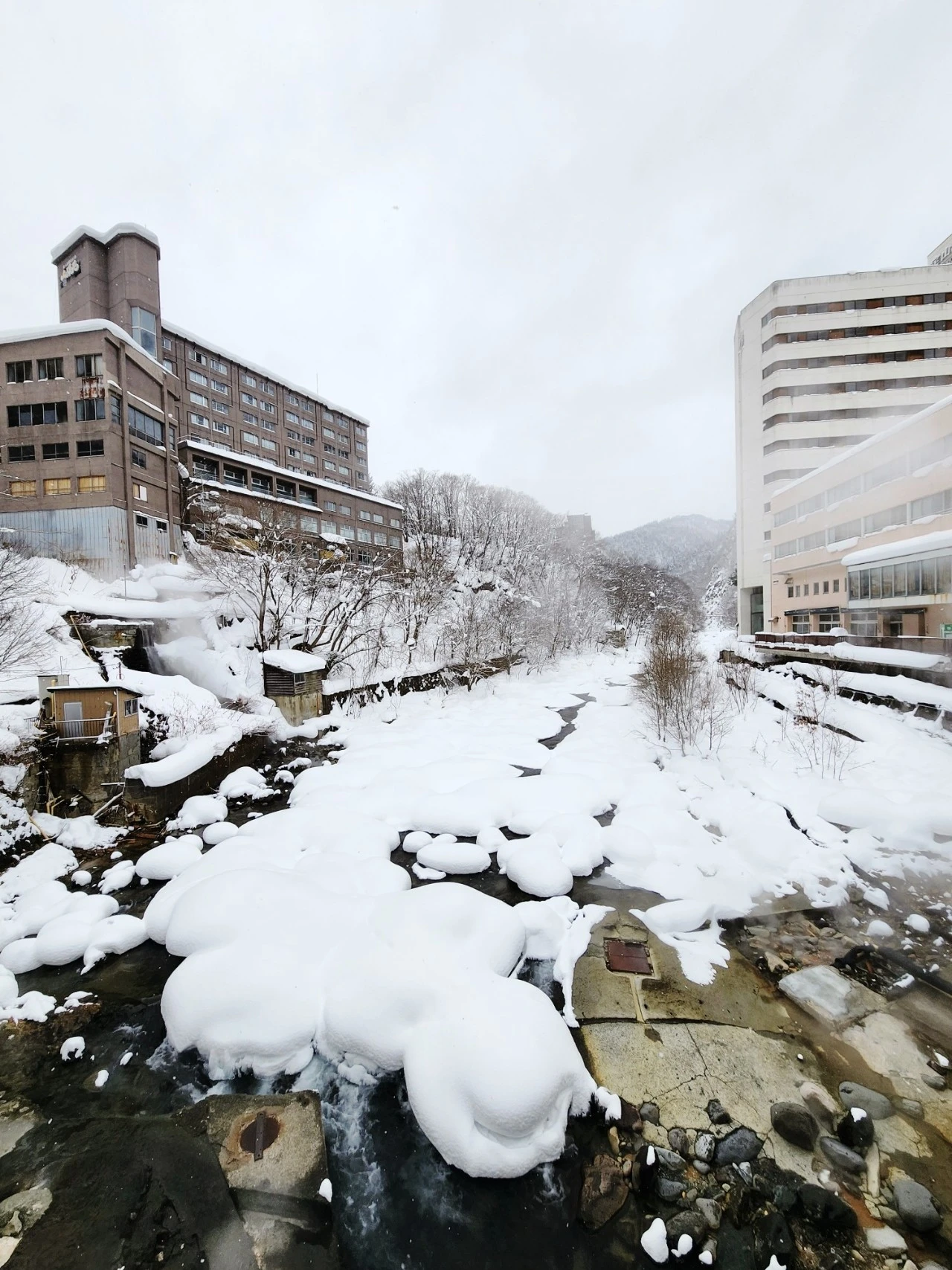 1705914254266.jpg?type=w1600