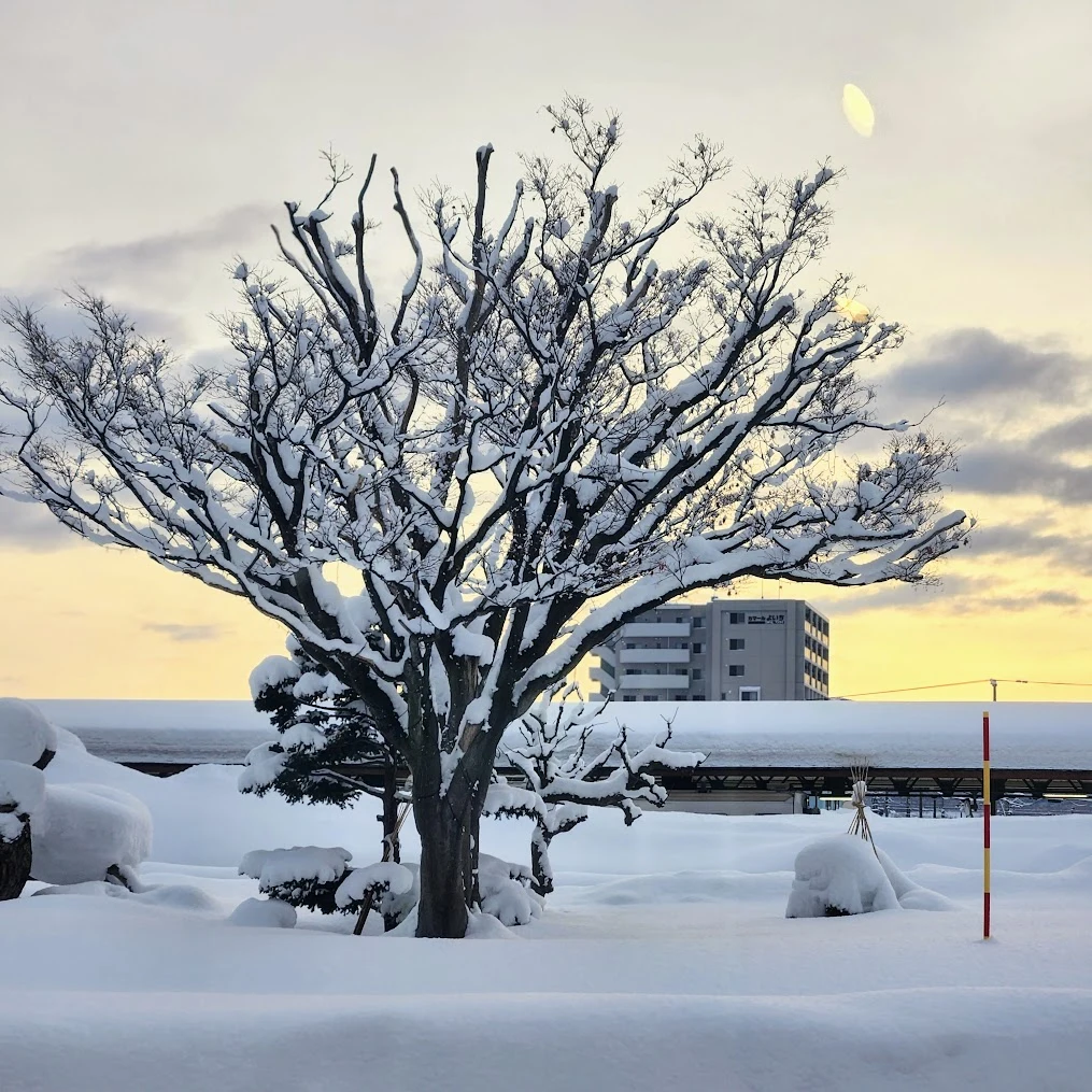 ABLVV86ZurIkrlncgXJtIs3ETEKZ5HESQtNJtI8S3MACFVN1Zaf2dvqrCJBT1ZAQlfHkdDqSapiFkEO61GWUMv1IWFBvG9QrqWLXURgUEZScRE_My-5eaG1l48QWBbE8b_5Gjnjk_byOQUQ4F0edbqwo8xATj72amYHn2lBw3mZkeLhaeqd6AN5YOUtKiSGQntfVXmTxYGTbvb1e7_ljnuVCU6PMIX7i4zTtNL9yyUcr-jRuJXQjCKbIQGN2dvbC2D7V3KQKsaE6rB-uCK44MJDyr4ZkHflmb6uh689WKeRtIcaZqVBOs3Lh4Fvsu2nBJpTJACGYBM2t-Bjwgan_iOl45iw_B4ffdmkislfTynw4zHFDQ4F-Bz0tByc3HRJPvru_qtE_JdmlIQgMyD3ypPcokkjR5L9b1uFxkgrP7PJuSBpbdJsV9cOIKTOIkgfxKcirbD_u5wyEc8eZ9PYe2EYDFLeNWFNJz5MEZplN48gx_j8JV5DfDwJHpKFQZeDLTAXtGROCP_eKNzhlcW9DQef7SQ17CM1h1otj_tIr3qvmbq5G3Ys4H1RcxCDpr_9KAbvaXxxLGmeijJV5RwqF1bcMeZdXo_TdcgJgJKDvjBKJXYVFunyyeblL8ji97Ub1qZPlkjs09HSE7_uKQalQ5BJyOqSENXOHJVql0694jI_Cg4K2bQRQMbRSGpUi9fKEsMd-gb-nq2cC9QlSyvb8o-i_5edQtRctATTkIOIK_6ujky_jcP0DUR1zRls9eaW-ti0cGTasPPGE0TkoCZ9z50ME8DWwiW8hURJzpI5Ug-ikxJttDP_2bPipydt19meMALmiQNu05d5K50b1JgYwQzEiBw1YKgvPyijq-5pAgGIBYPeVgdBEyqcMpMWZdUeAllzot7Ypb6_9JhdWG1uY8LOWOAHM9bqM3jKbQl9tF_MoftGTK8HVr29Q4Ru9BfU-NQX6sGecnphRNrx6AeAD6cAx0s1riU0Y1rA0n2tkEA7tVUUUkHdWUf7BJSqc8Avrm-TgyEU=w1015-h1015-s-no-gm?authuser=0