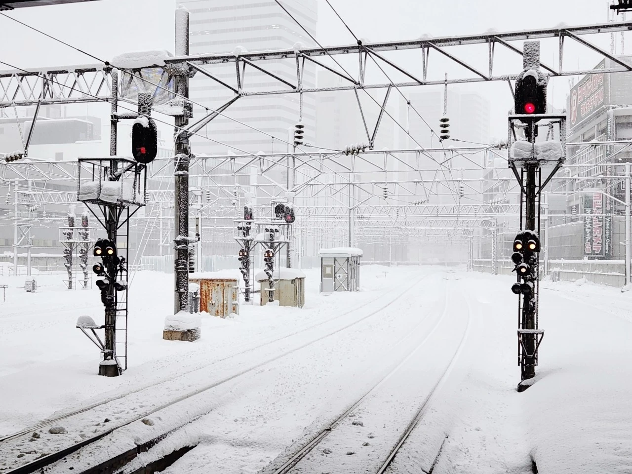 1705969547949.jpg?type=w1600