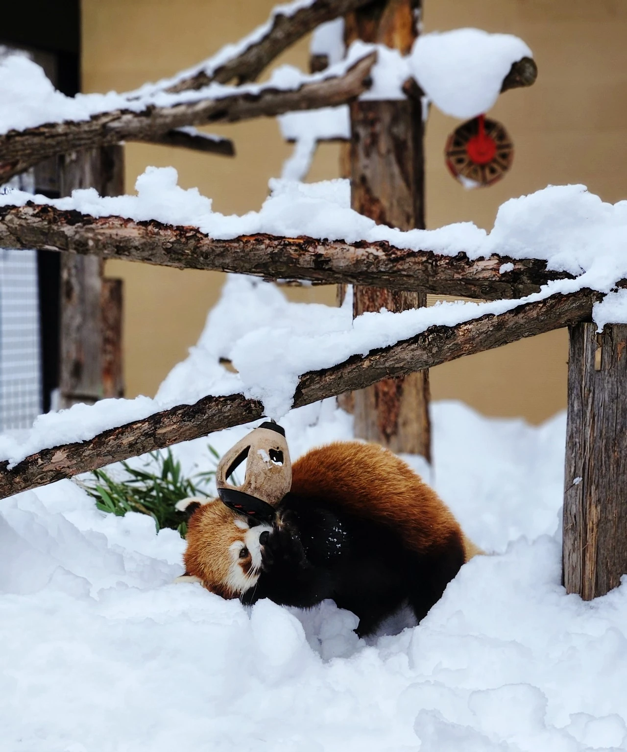 SE-67cda75c-ba43-11ee-94ef-91543d2a2113.jpg?type=w1600