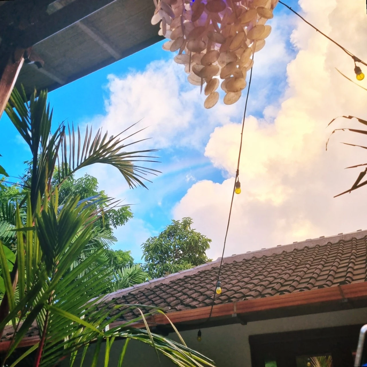 1673015280362.jpg?type=w1600