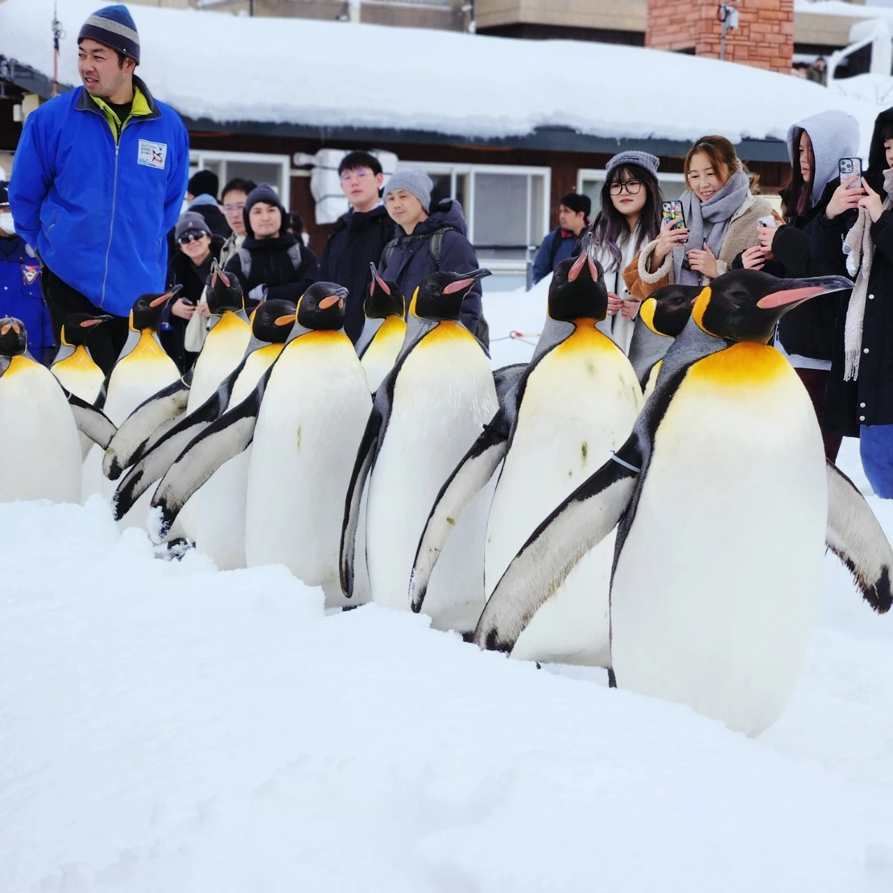 SE-67ca7305-ba43-11ee-94ef-2d581d92f2df.jpg?type=w1600