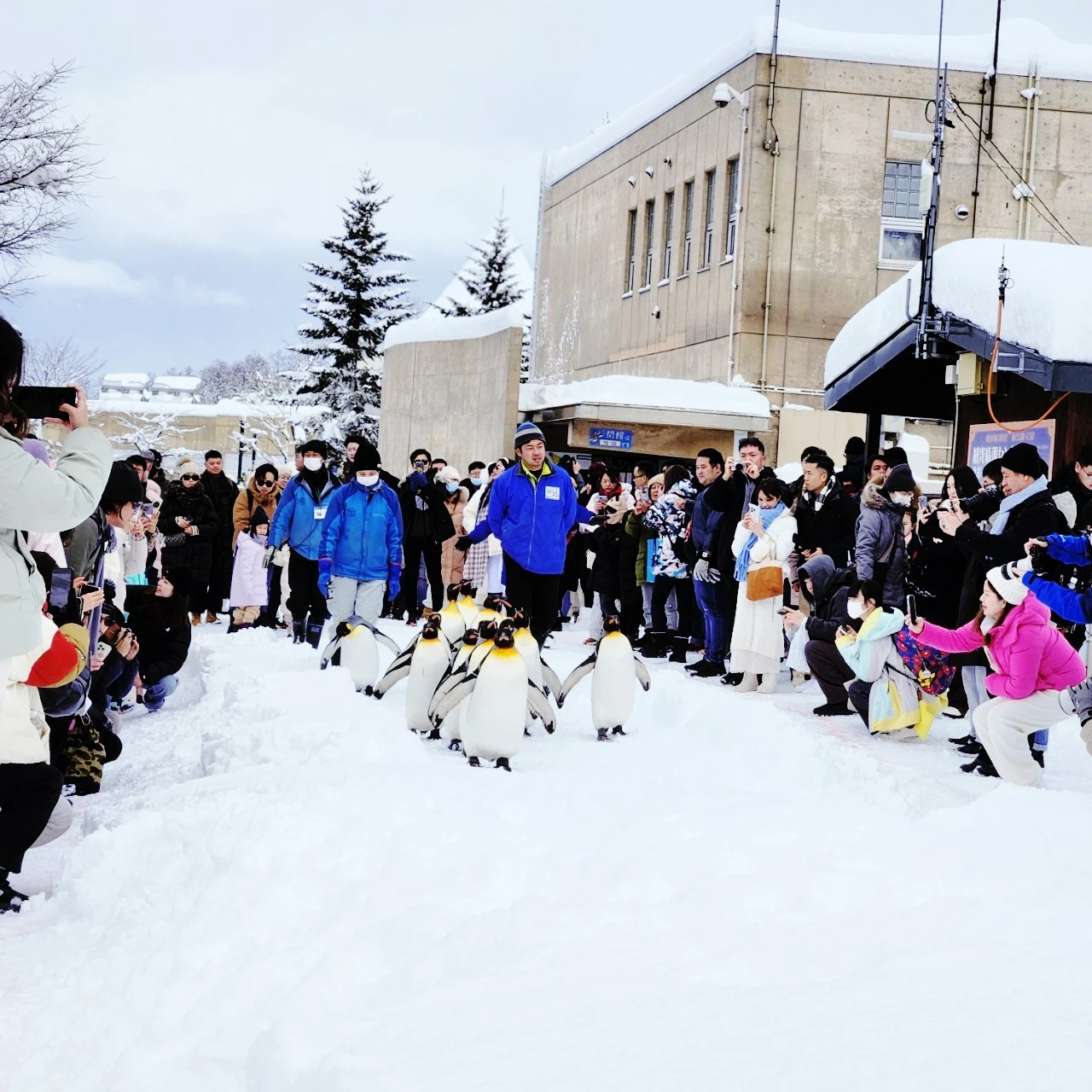 SE-67c9fdd4-ba43-11ee-94ef-dd47cac4d105.jpg?type=w1600