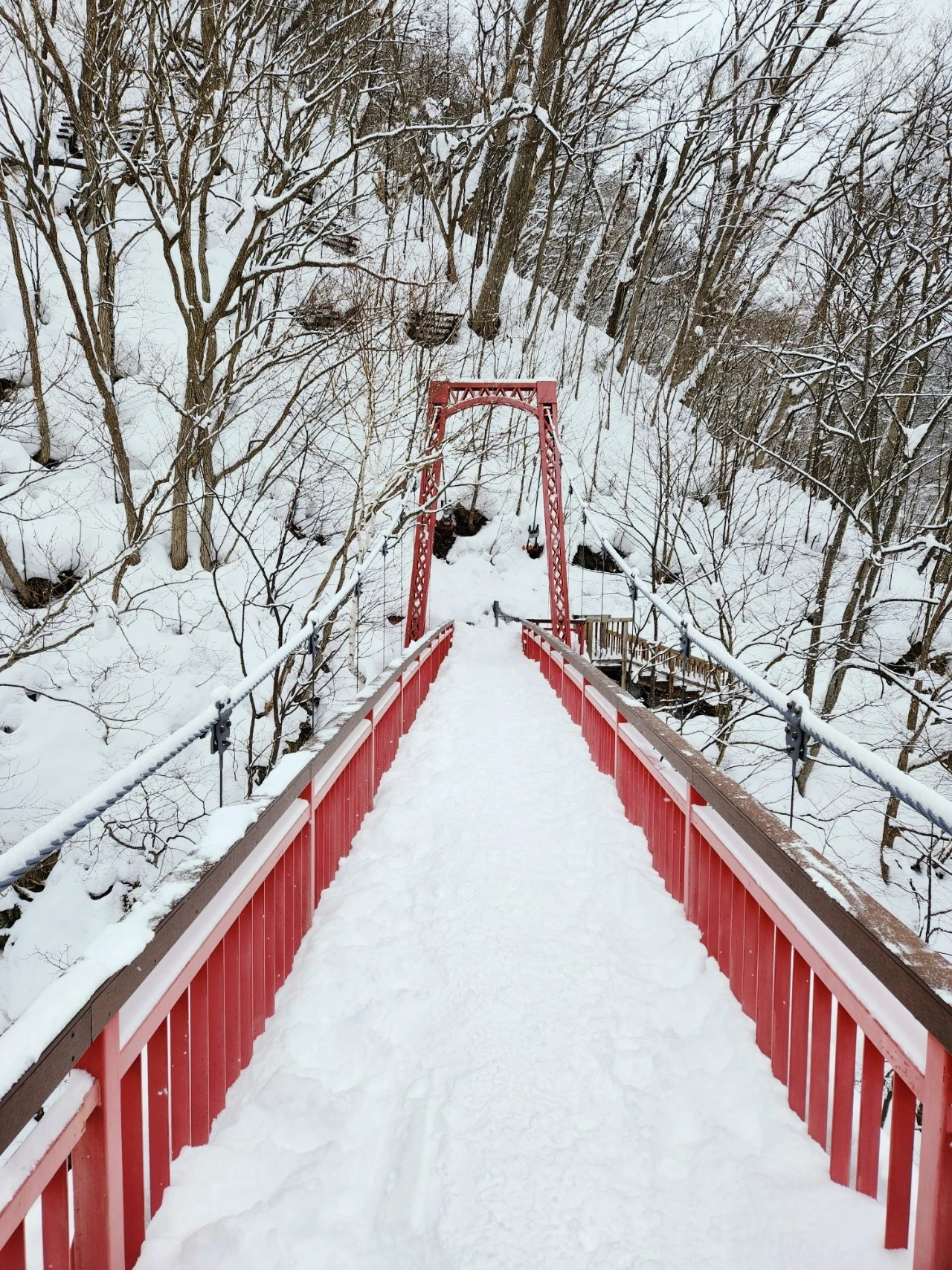 1705914296906.jpg?type=w1600