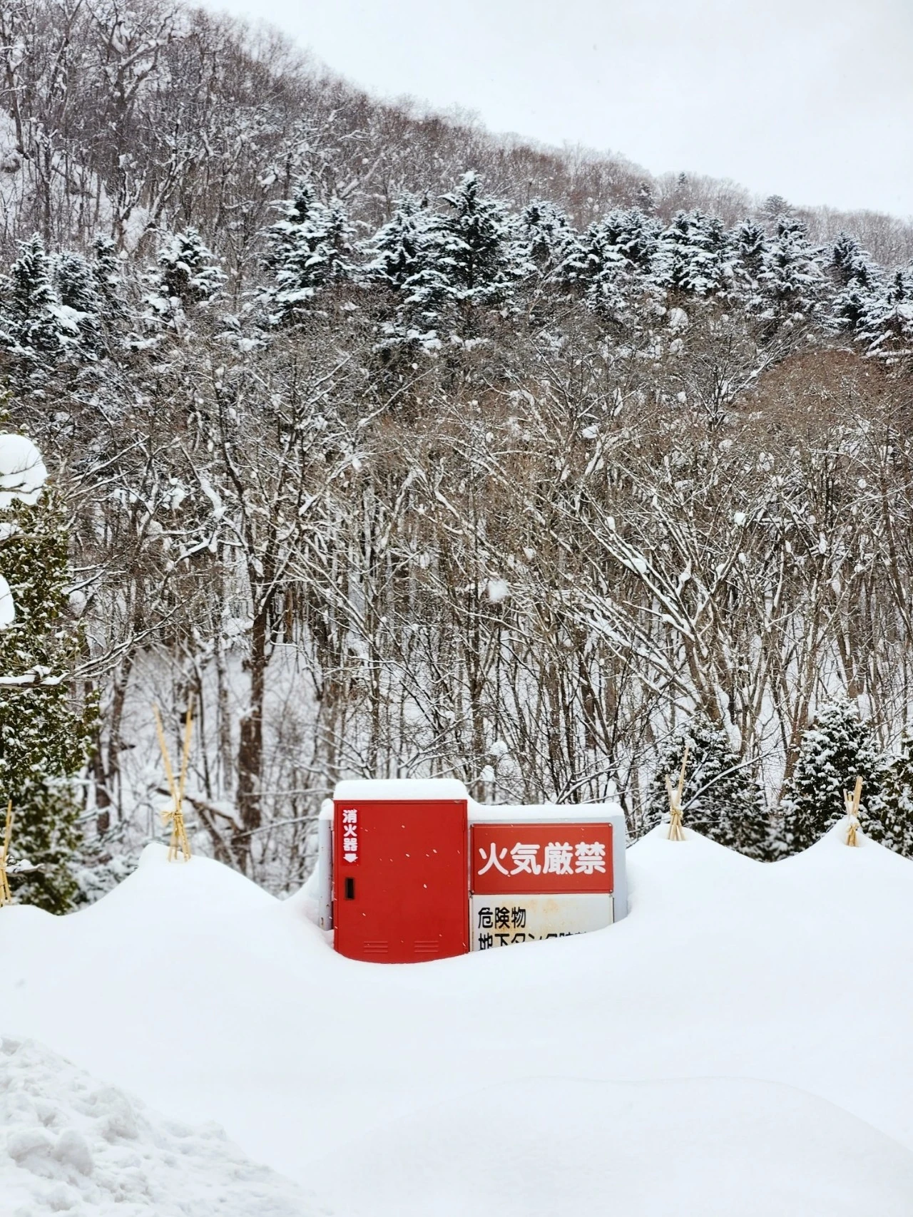 1705914274916.jpg?type=w1600